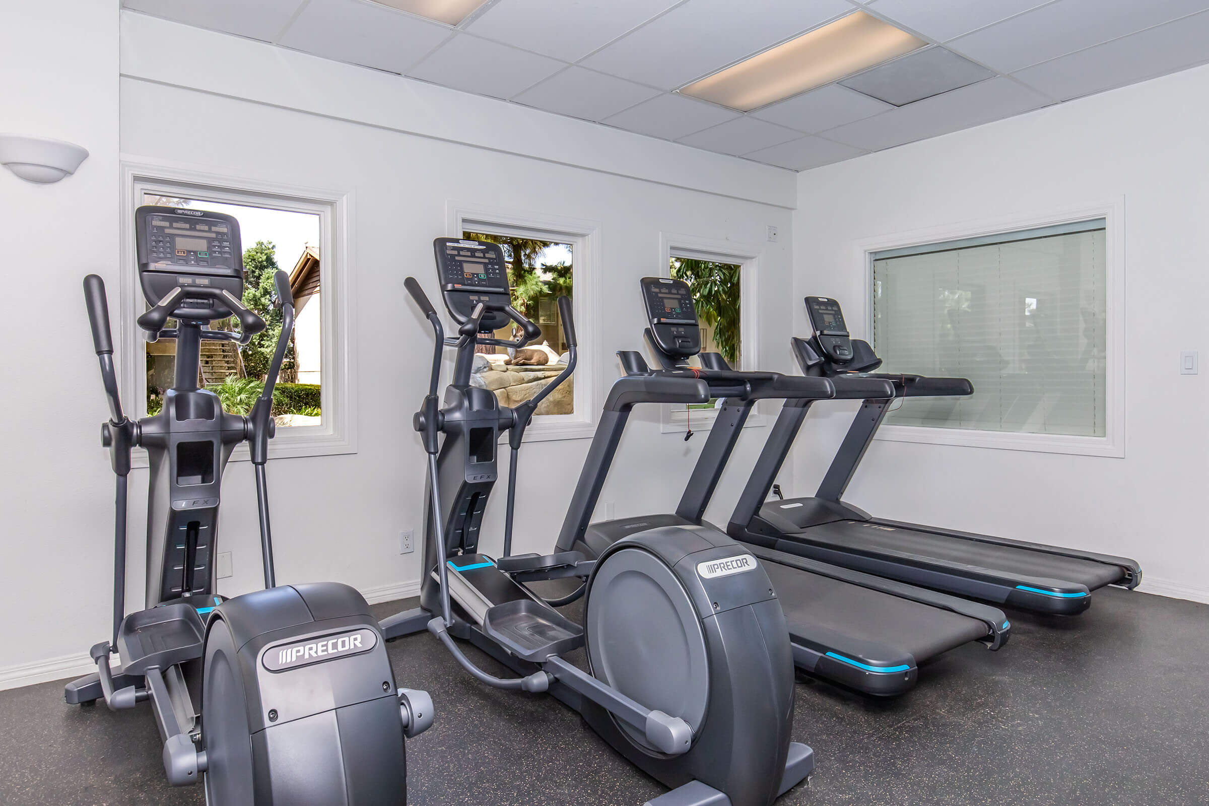 A modern gym interior featuring multiple ellipticals and treadmills arranged against bright windows. The room has a clean, minimalist design with a dark rubber floor, providing a spacious environment for exercise.