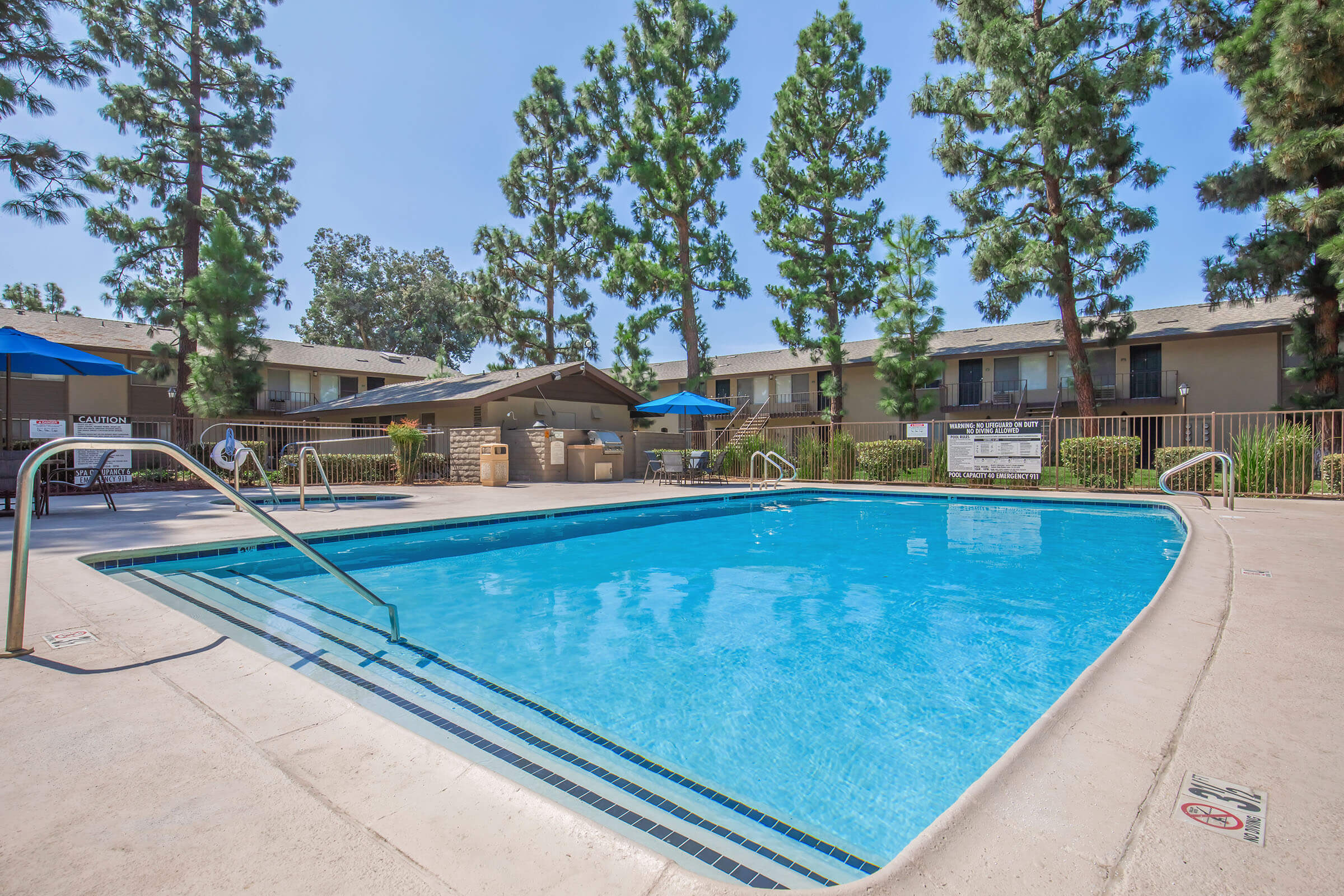 A well-maintained pool area surrounded by tall pine trees. The clear blue water of the swimming pool reflects the sunny sky. Lounge chairs and shaded umbrellas are set up nearby, with a building visible in the background, suggesting a residential complex. The atmosphere is inviting and relaxing.