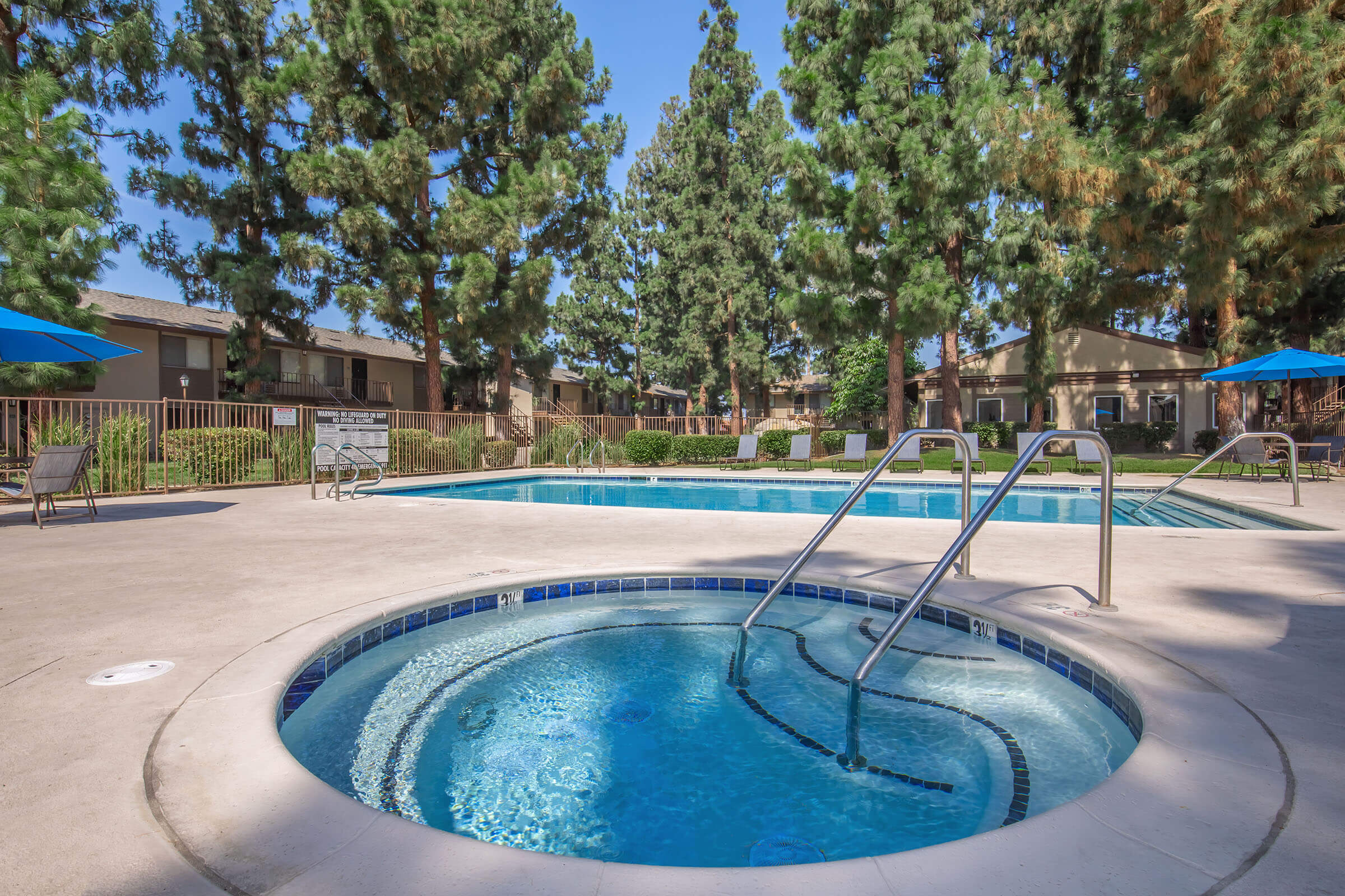 A serene outdoor pool area featuring a large swimming pool and a hot tub, surrounded by tall green trees and colorful umbrellas. The concrete deck is equipped with lounge chairs, creating a relaxing atmosphere for residents and guests. Nearby apartment buildings can be seen in the background.