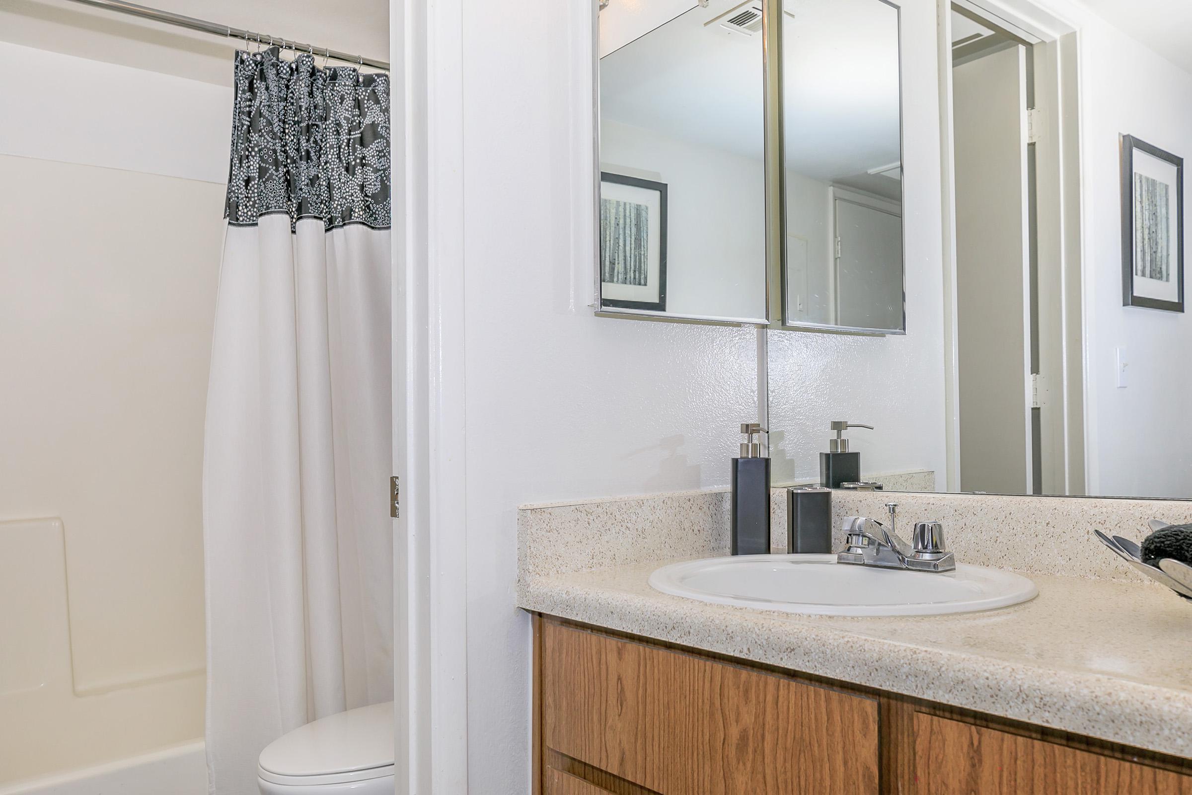 A bathroom with a vanity, medicine cabinet and a shower at Rise North Ridge.