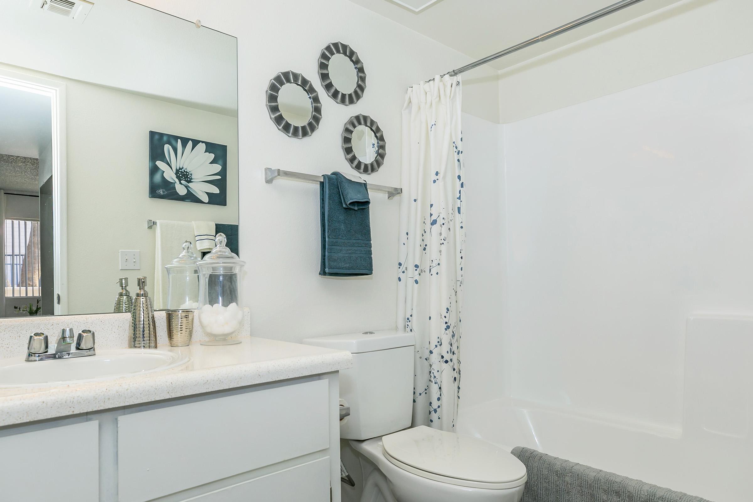 Modern apartment bathroom with shower tub, toilet, and mirrored sink vanity at Rise North Ridge.
