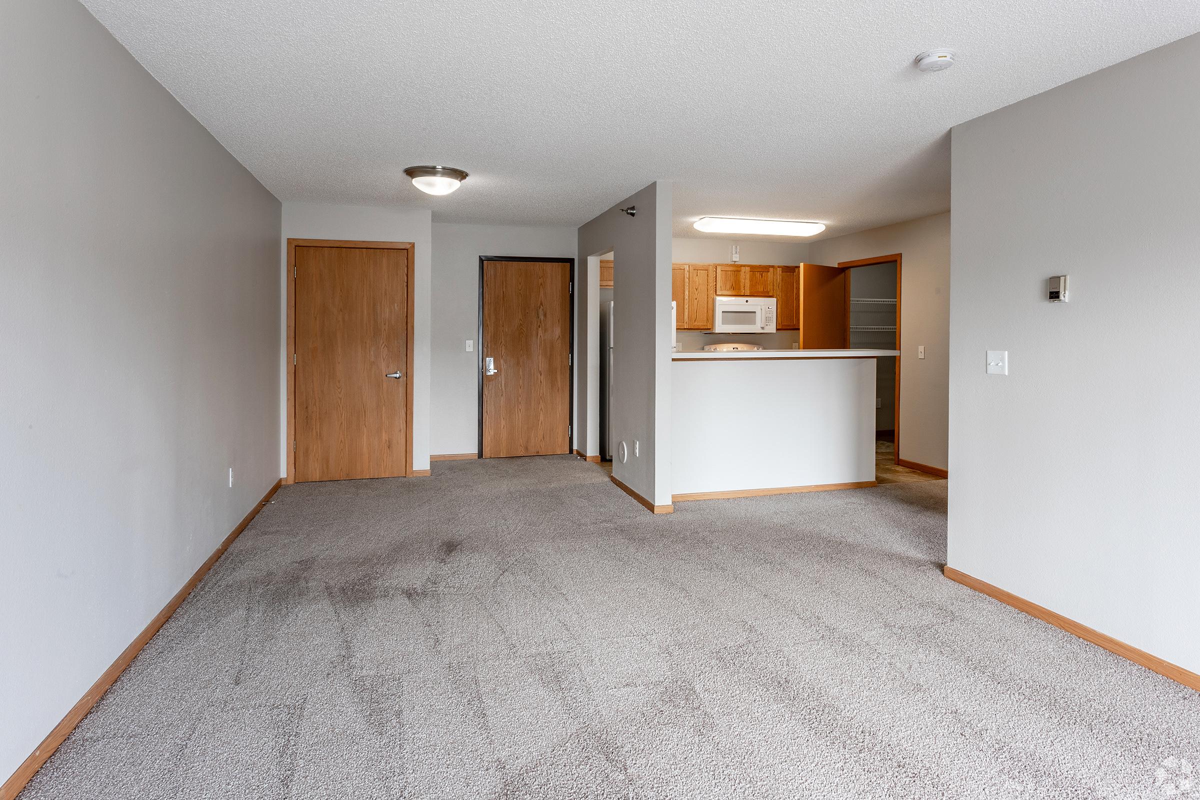 An interior view of a vacant apartment featuring light gray walls, carpeted flooring, and wood-paneled doors. The space includes a kitchen on the right with wooden cabinets and an open layout. There is a single light fixture in the ceiling and a doorway leading to another room.
