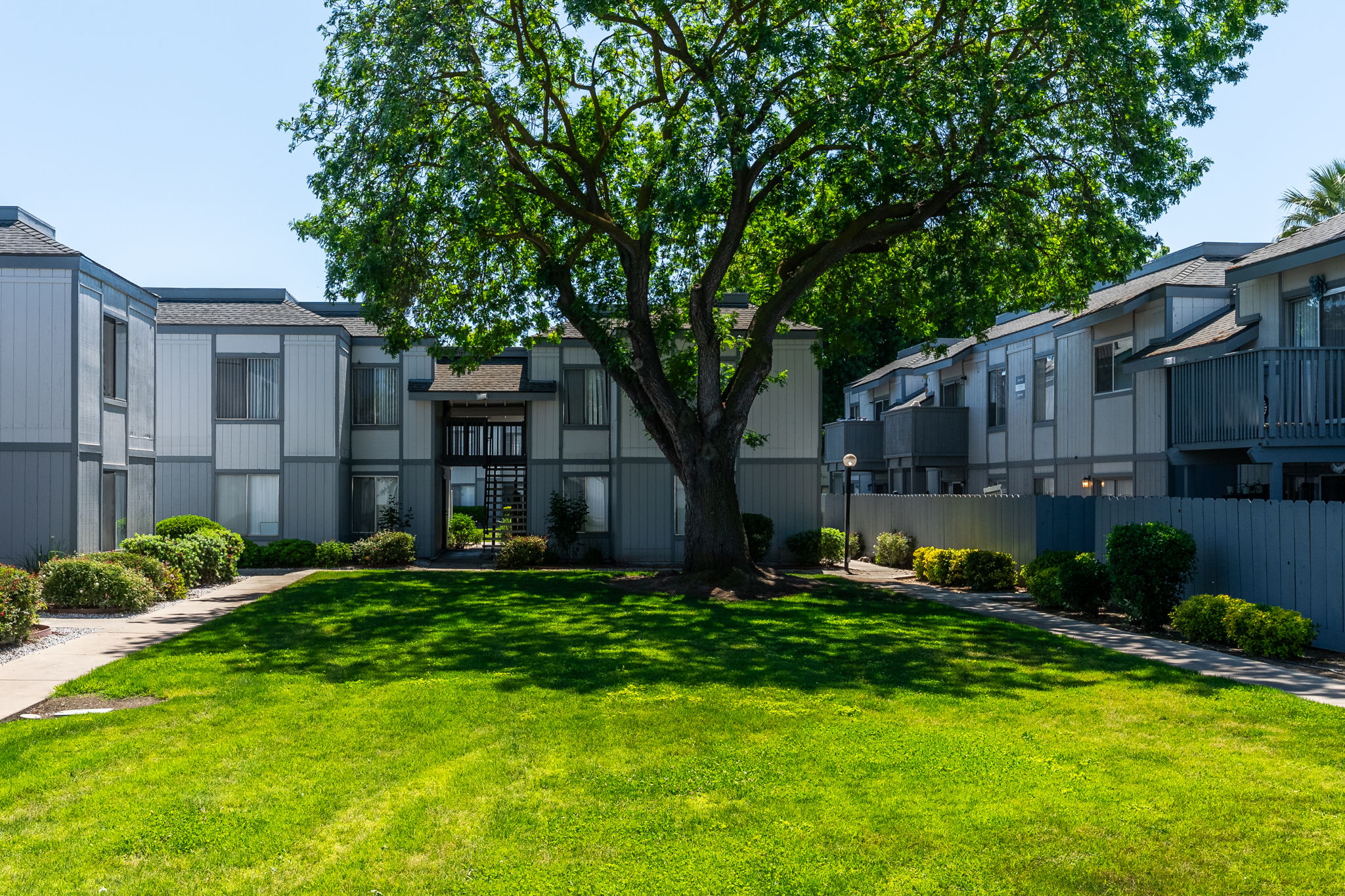 A well-maintained courtyard surrounded by modern apartment buildings, featuring lush green grass and a large tree providing shade. Paths lead through the landscaped area, and decorative shrubs line the walkways, creating a tranquil residential atmosphere. Clear blue skies overhead enhance the peaceful setting.