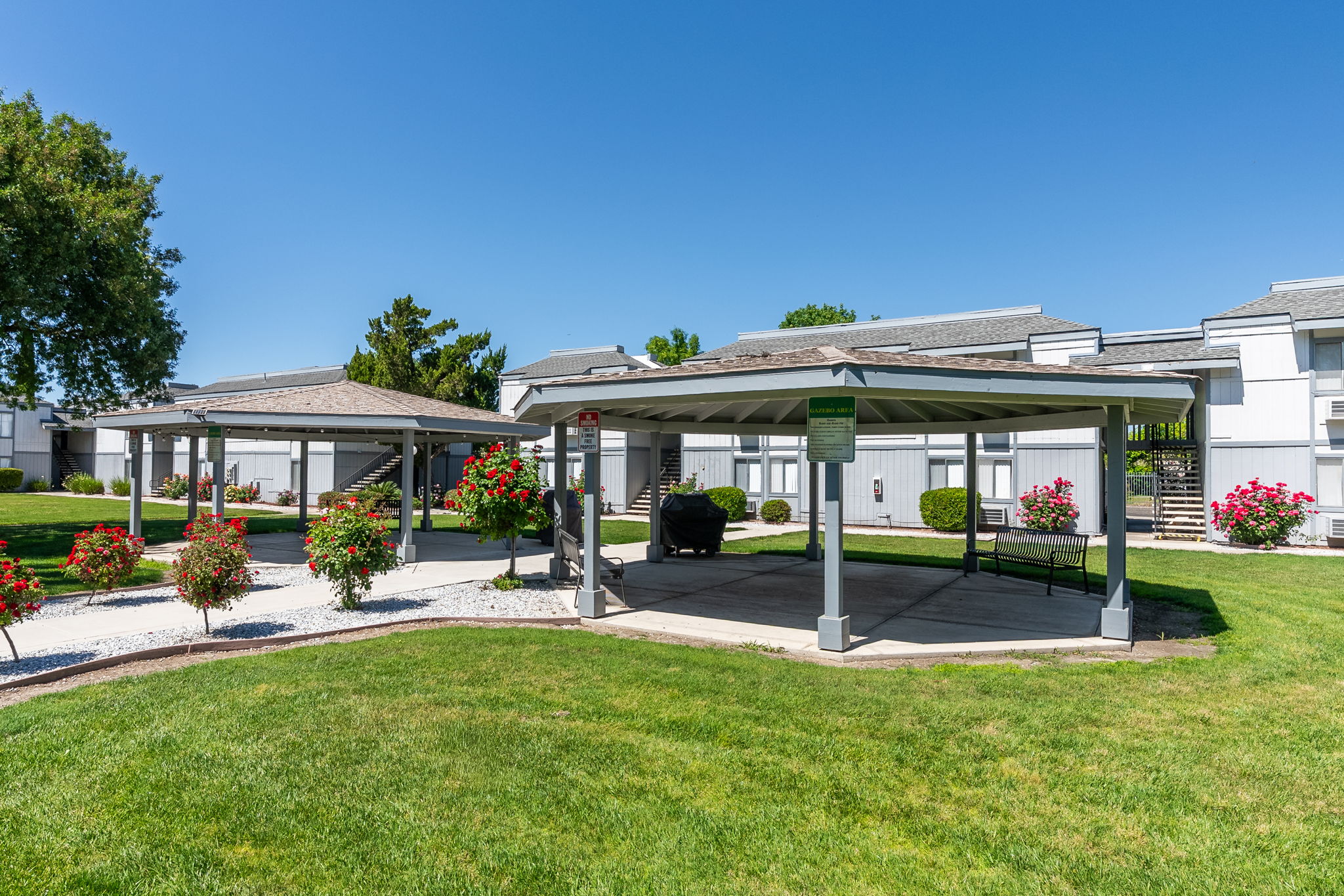 A sunny outdoor area featuring two covered pavilions surrounded by well-maintained landscaping. Colorful rose bushes bloom alongside manicured grass, with nearby multi-unit residential buildings in the background under a clear blue sky.