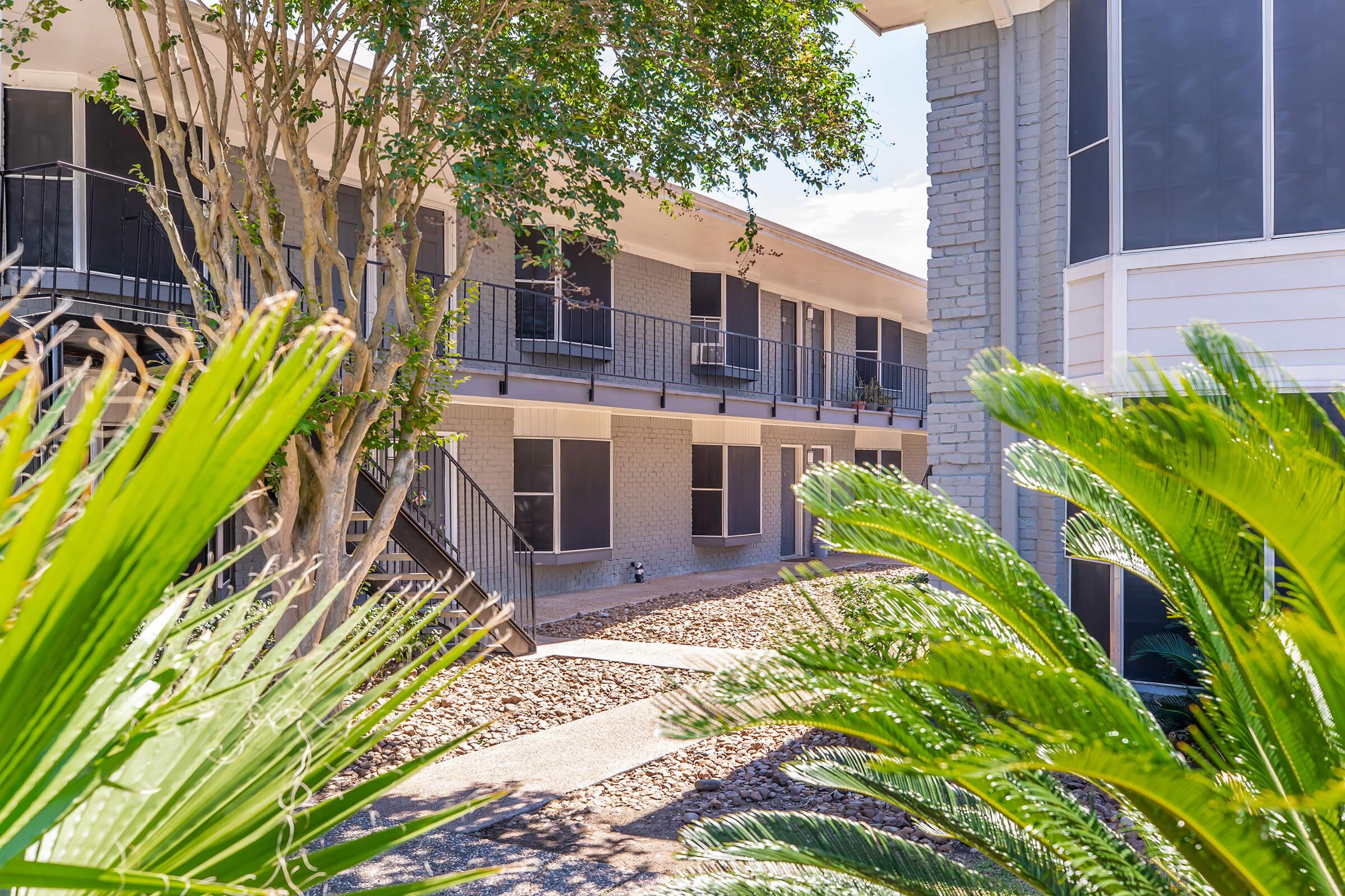 A view of a shaded courtyard in an apartment complex featuring palm trees and stone pathways. Two buildings with balconies are visible, surrounded by lush greenery and landscaping. The scene captures a bright day with clear skies.