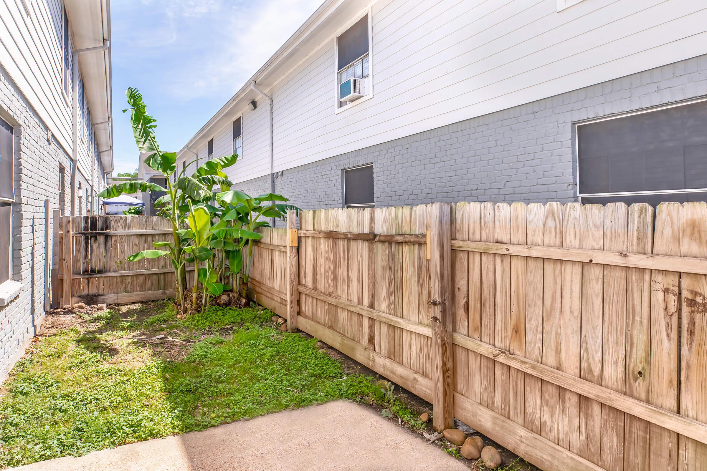Narrow pathway between two buildings, featuring a wooden fence on one side and a small patch of grass with a banana plant growing near the fence. The sky is bright and partly cloudy, and the buildings have windows but no visible people.
