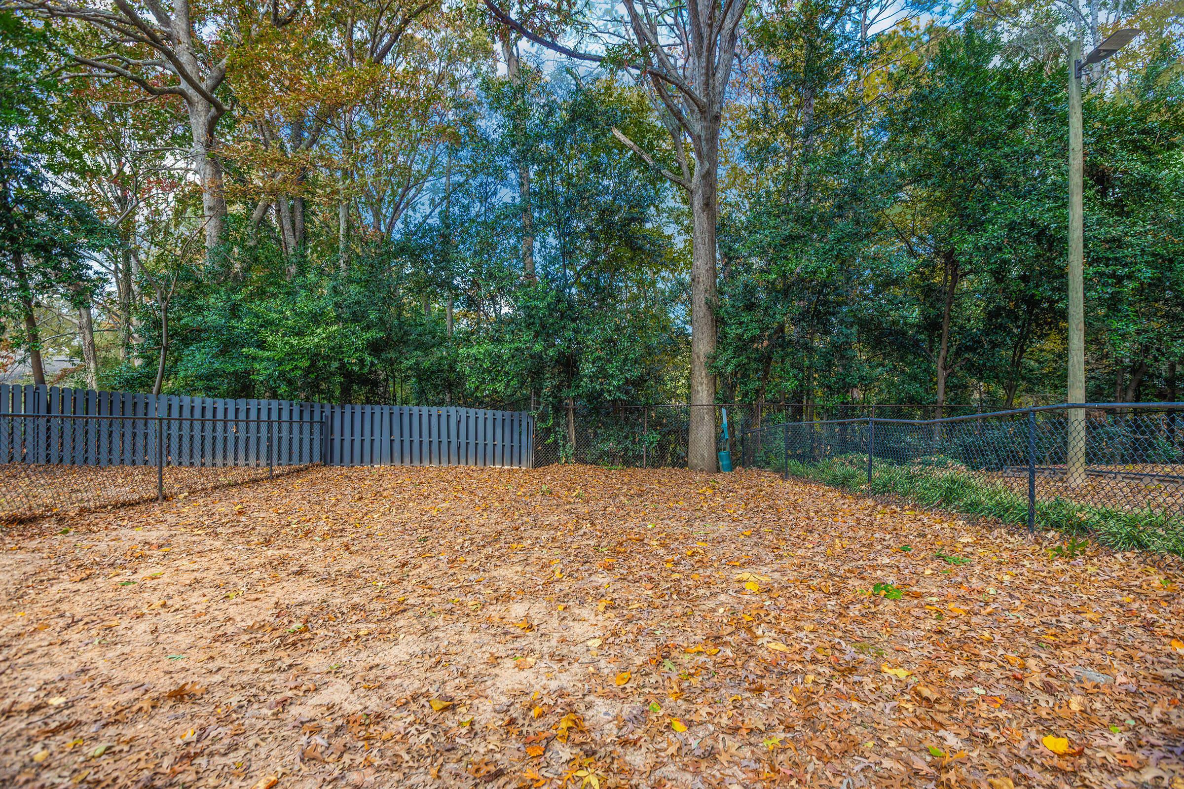 A park area featuring a sandy ground covered with fallen leaves, bordered by a gray wooden fence on one side and a black chain-link fence on another. Tall trees and dense greenery provide a natural backdrop, with a clear blue sky visible above.