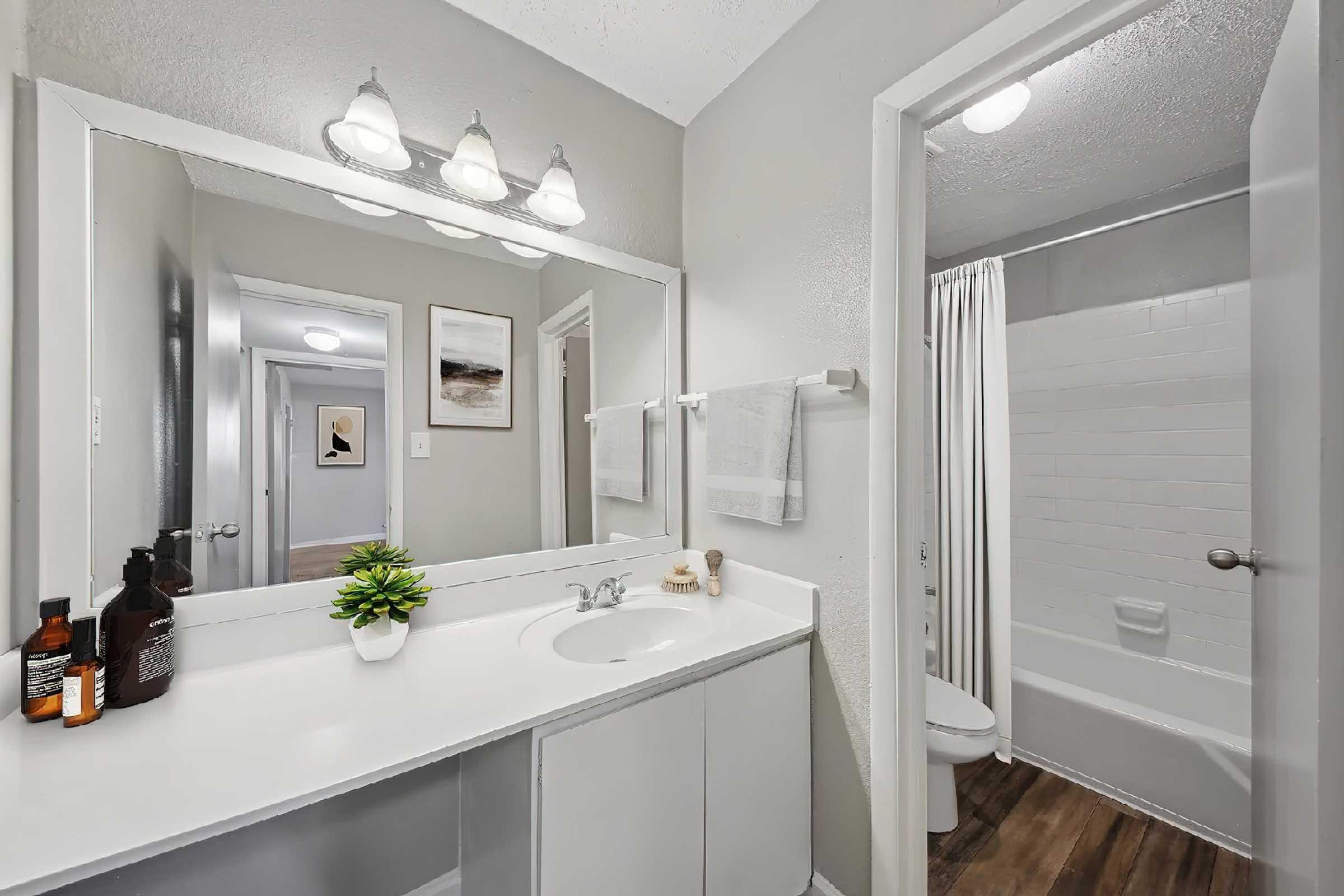 Bright and modern bathroom featuring a double sink vanity with a large mirror and five light fixtures above. The countertop holds decorative items and a small plant. A white bathtub with a shower curtain is visible in the background, along with a door leading to another room. The walls are painted in soft gray tones.
