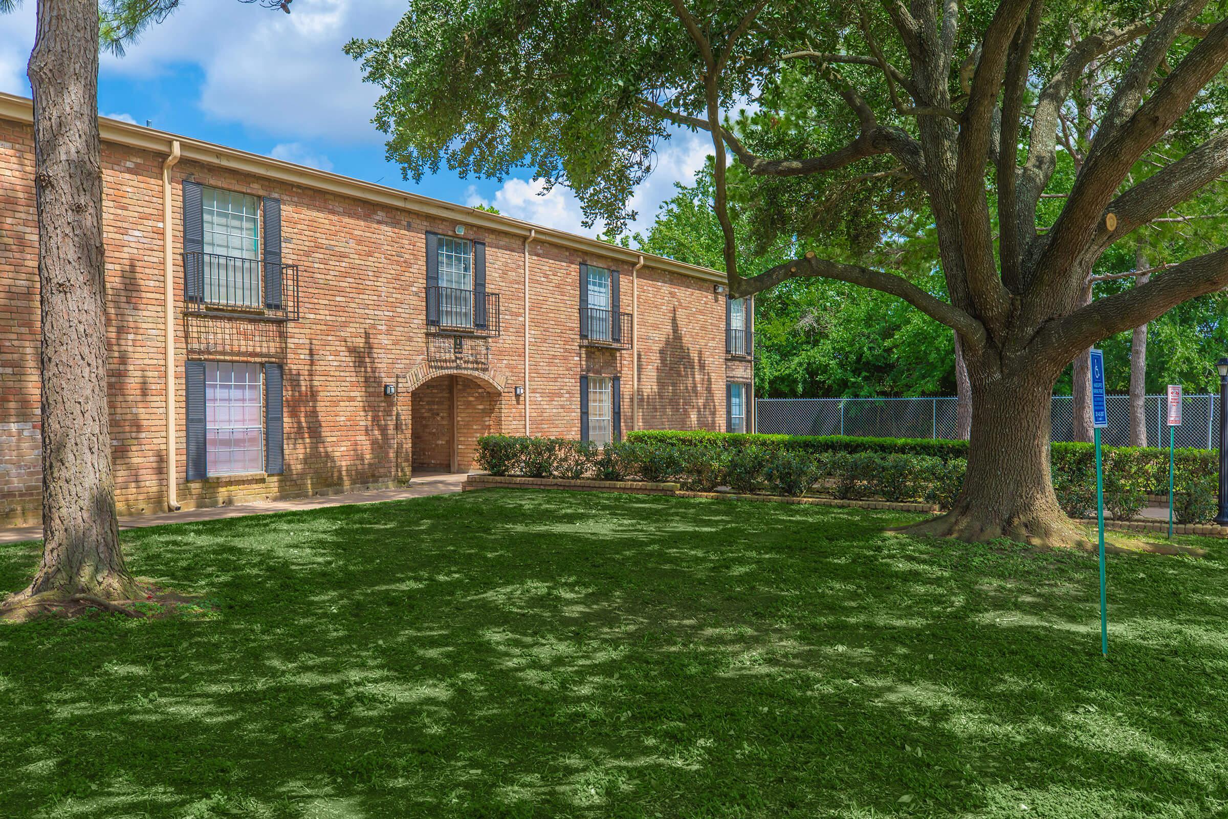 a tree in front of a brick building