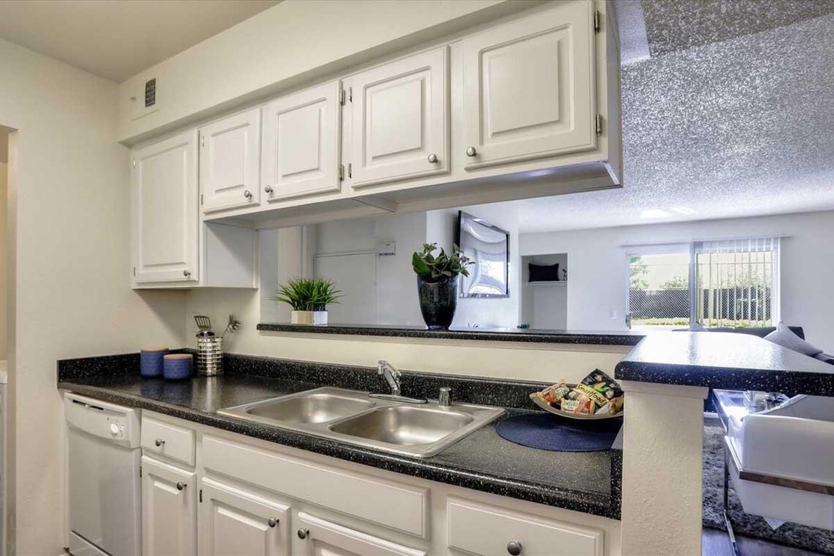 Modern kitchen featuring white cabinets, a double sink, and dark countertop. A small potted plant decorates the space, and a view into a living room with natural light is visible through an opening. A fruit bowl and dish rack are also present on the counter.