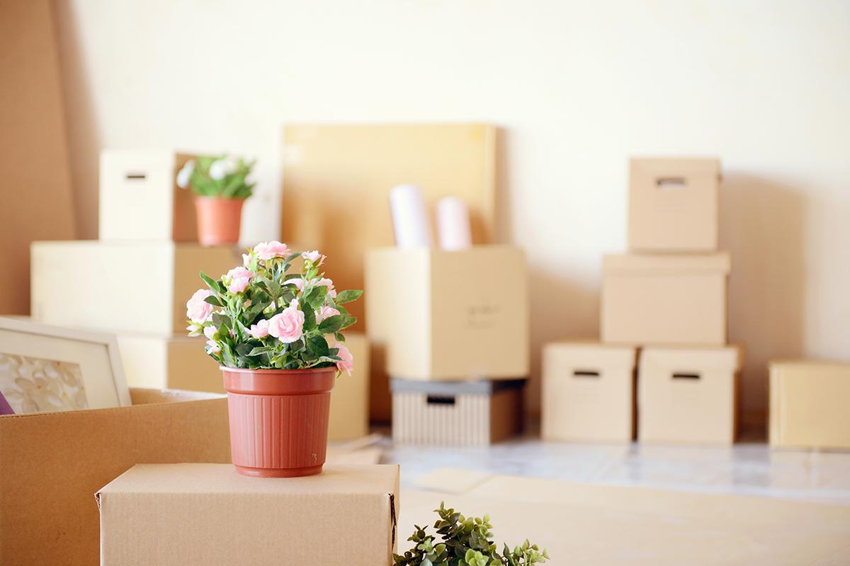 a room filled with furniture and vase of flowers on a table