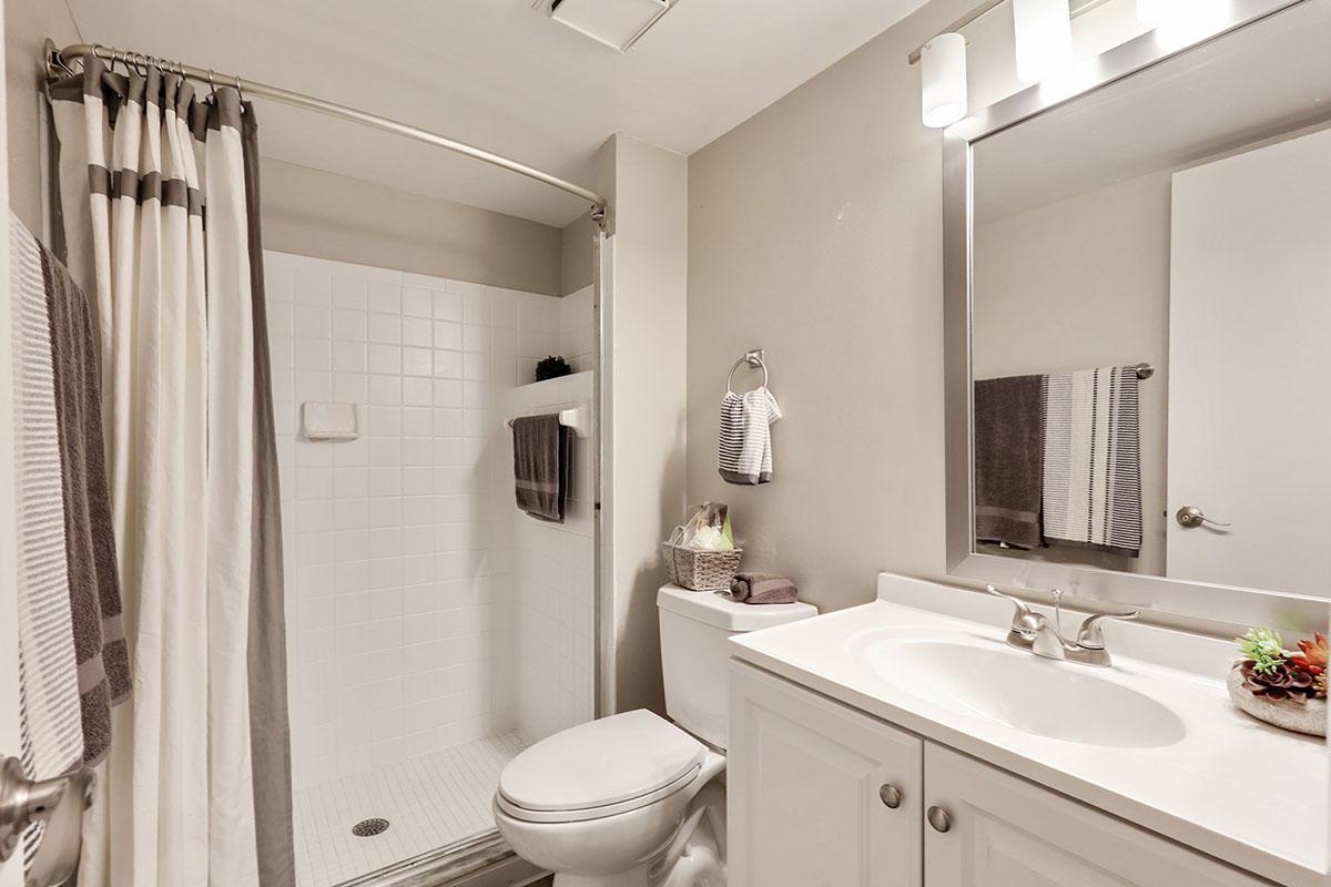 a white sink sitting under a mirror next to a shower