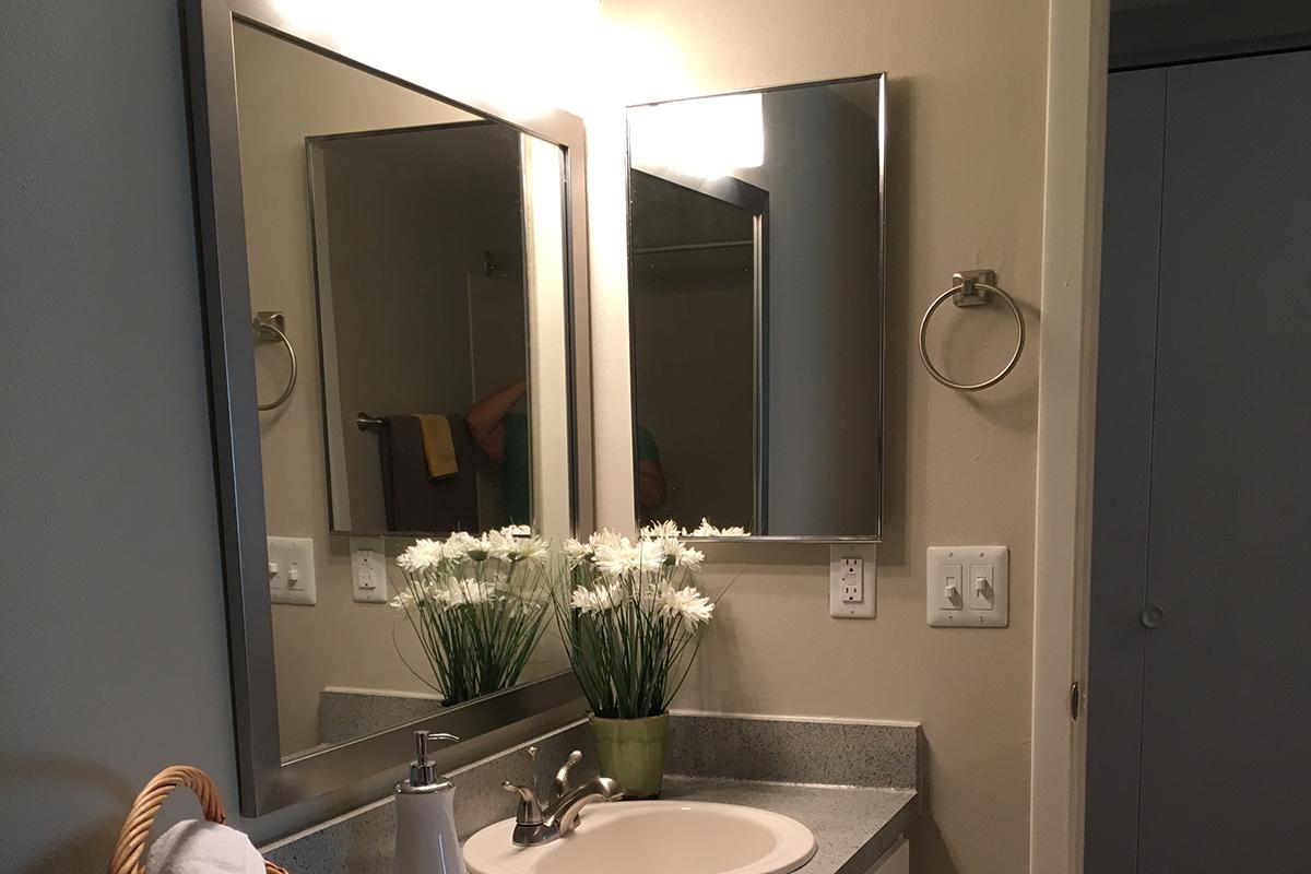 bathroom upgrade model.jpg