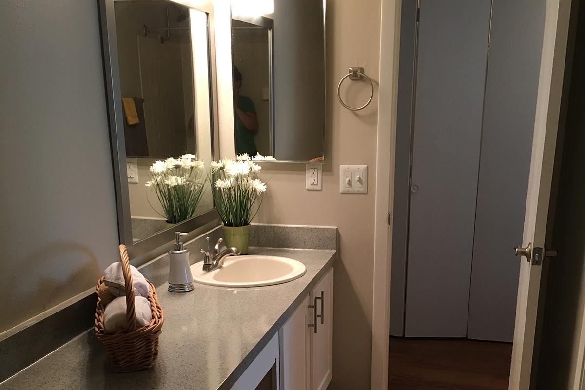guest bathroom upgrade.jpg