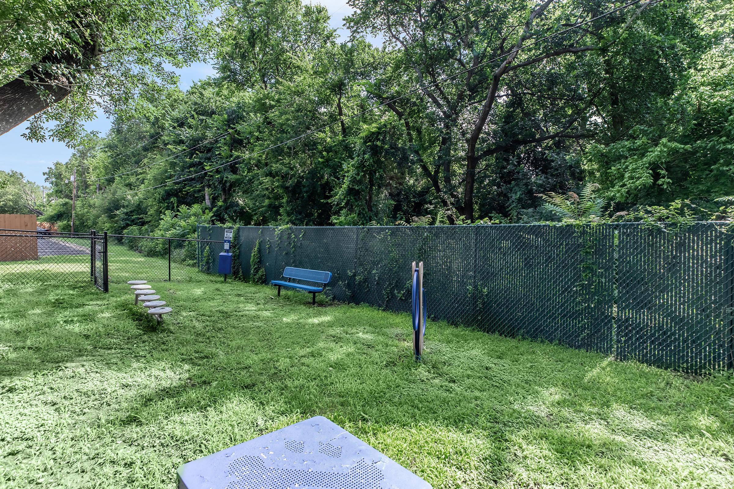 A grassy outdoor area featuring a blue bench, wooden seating, and a fenced perimeter. Lush trees and bushes surround the space, providing a natural setting, with a clear blue sky above.