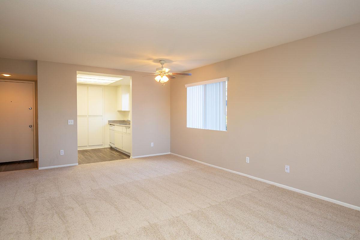 Kitchen with wooden floors and carpeted living room