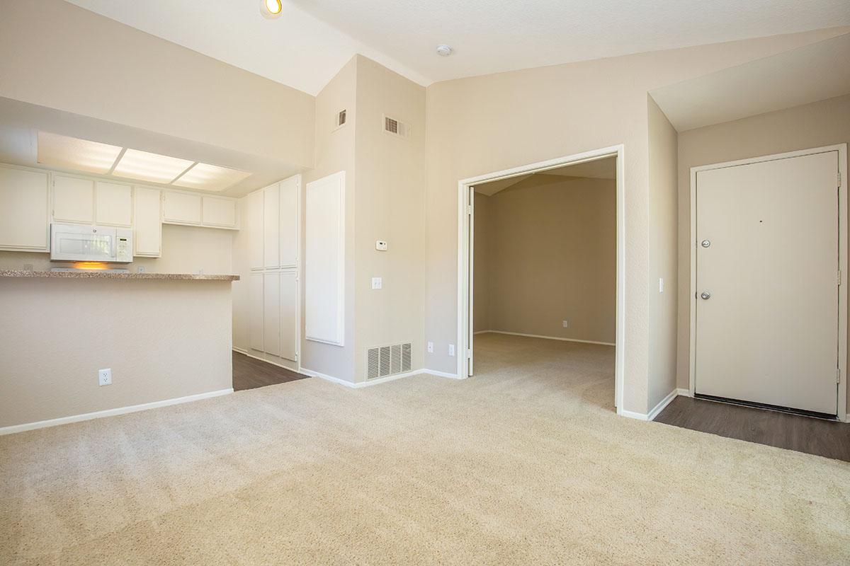 Living room and bedroom with carpet