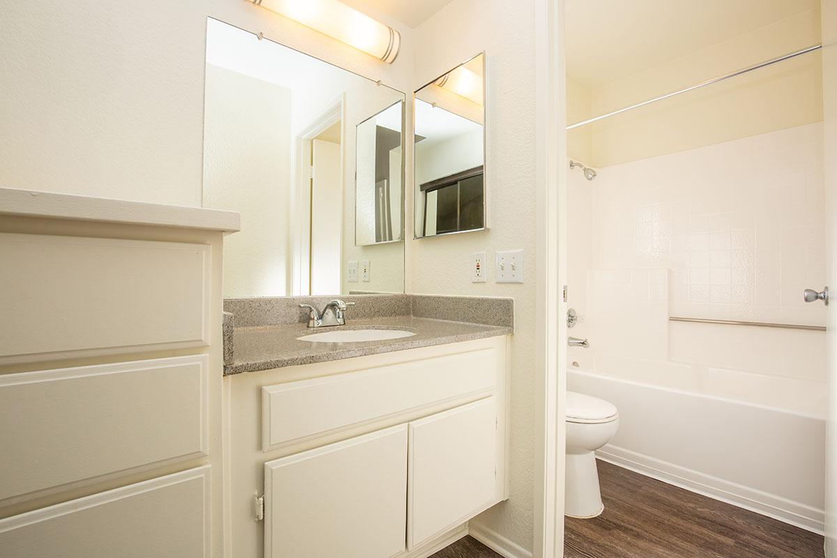 Bathroom with wooden floors