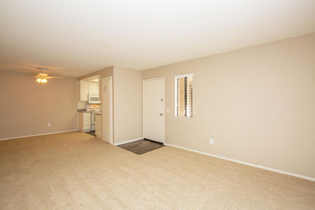 Living room and dining room with carpet