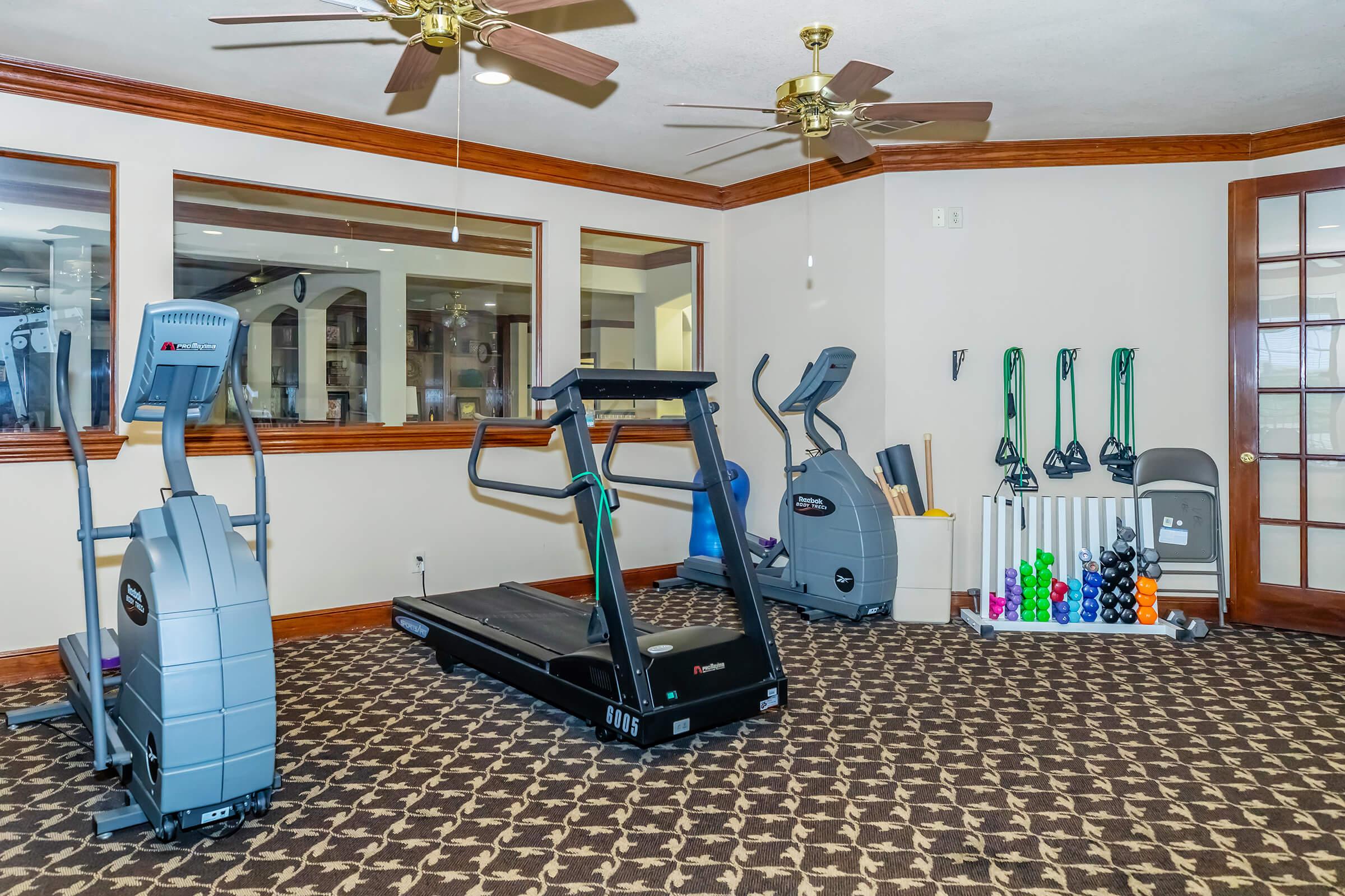 A well-equipped gym space featuring a treadmill, an elliptical machine, and a variety of colorful dumbbells and resistance bands. The room has ceiling fans and large windows, providing a bright and open atmosphere. The floor is covered in a patterned carpet, enhancing the overall aesthetic of the fitness area.