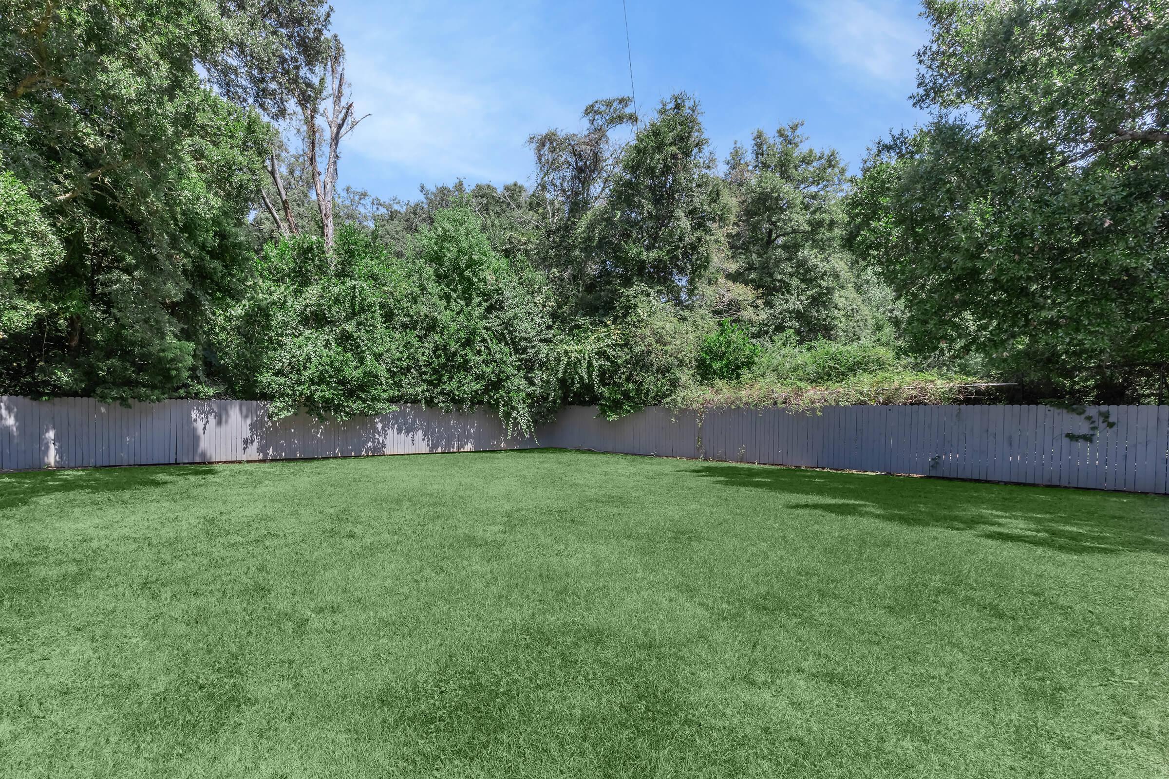 A spacious backyard with a well-maintained green lawn surrounded by tall trees and a wooden fence. The sky is clear and blue, adding to the serene atmosphere of this outdoor space.