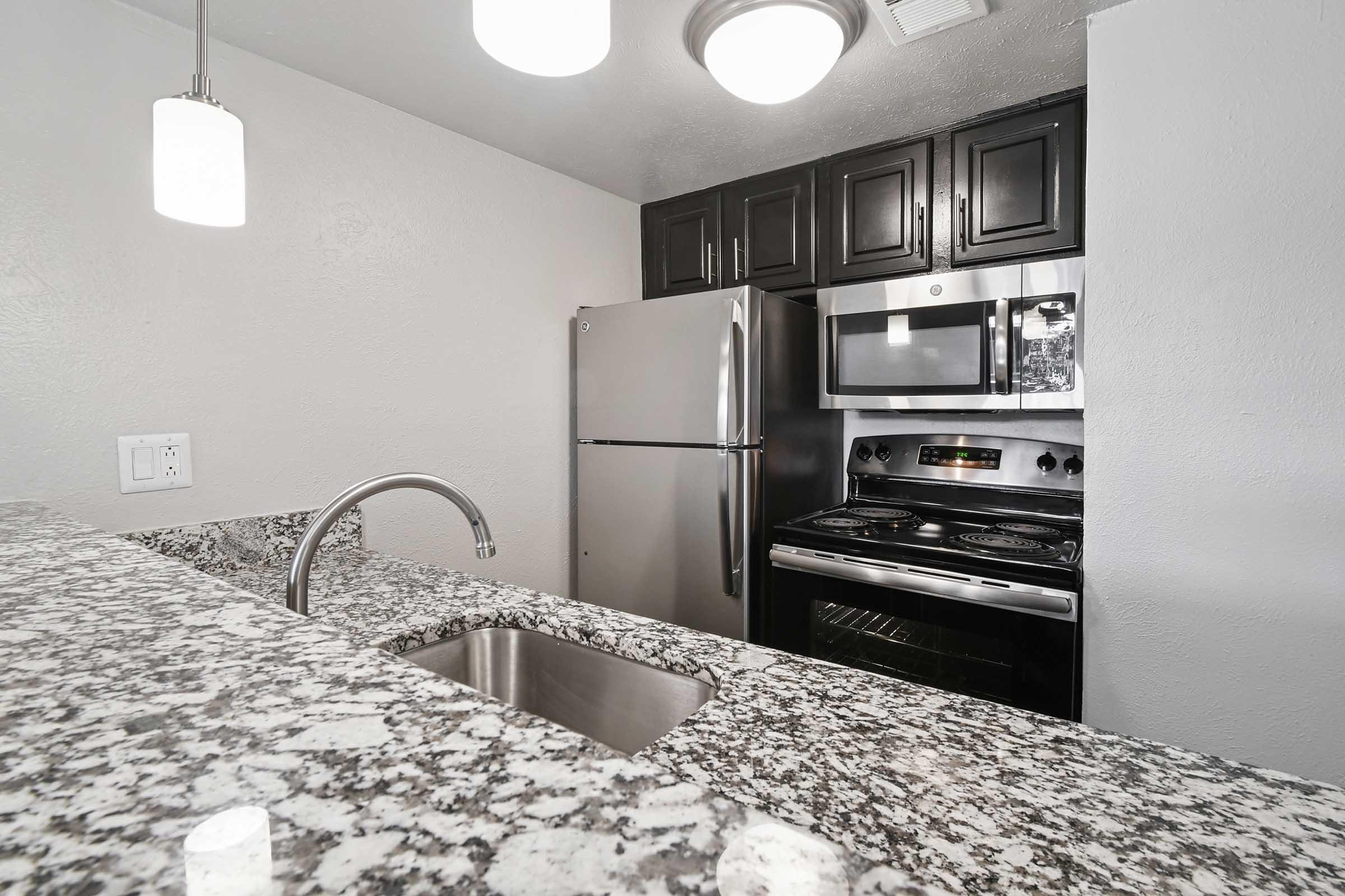 Modern kitchen featuring dark cabinetry, stainless steel appliances including a refrigerator, oven, and microwave. A granite countertop with a built-in sink is visible in the foreground, illuminated by pendant lighting. The overall design is sleek and contemporary.