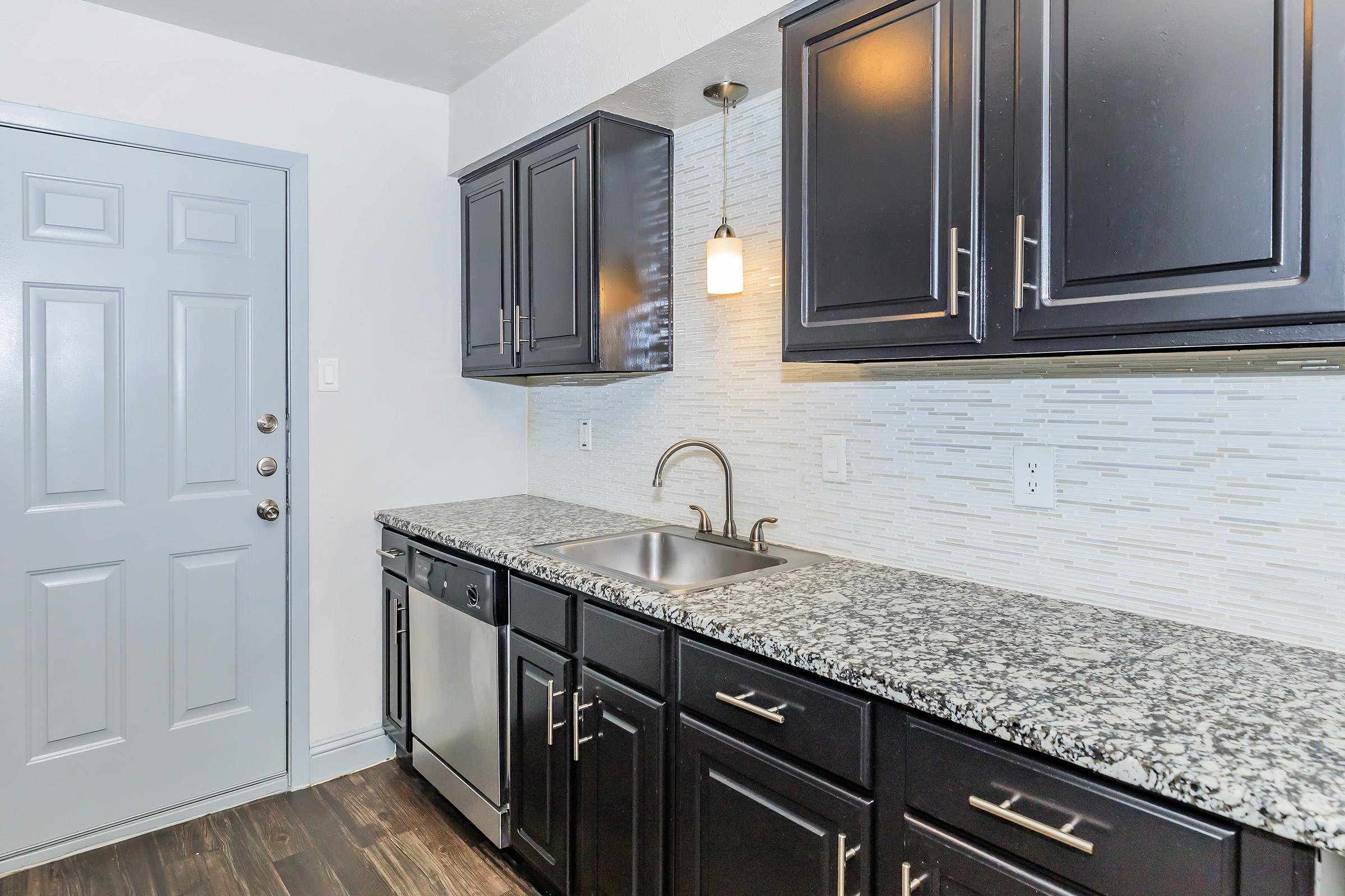 A modern kitchen featuring dark cabinetry, a stainless steel dishwasher, and a granite countertop. A sink is installed under a wall-mounted light fixture, with a textured backsplash. The space also includes a grey front door, highlighting a clean and contemporary design.