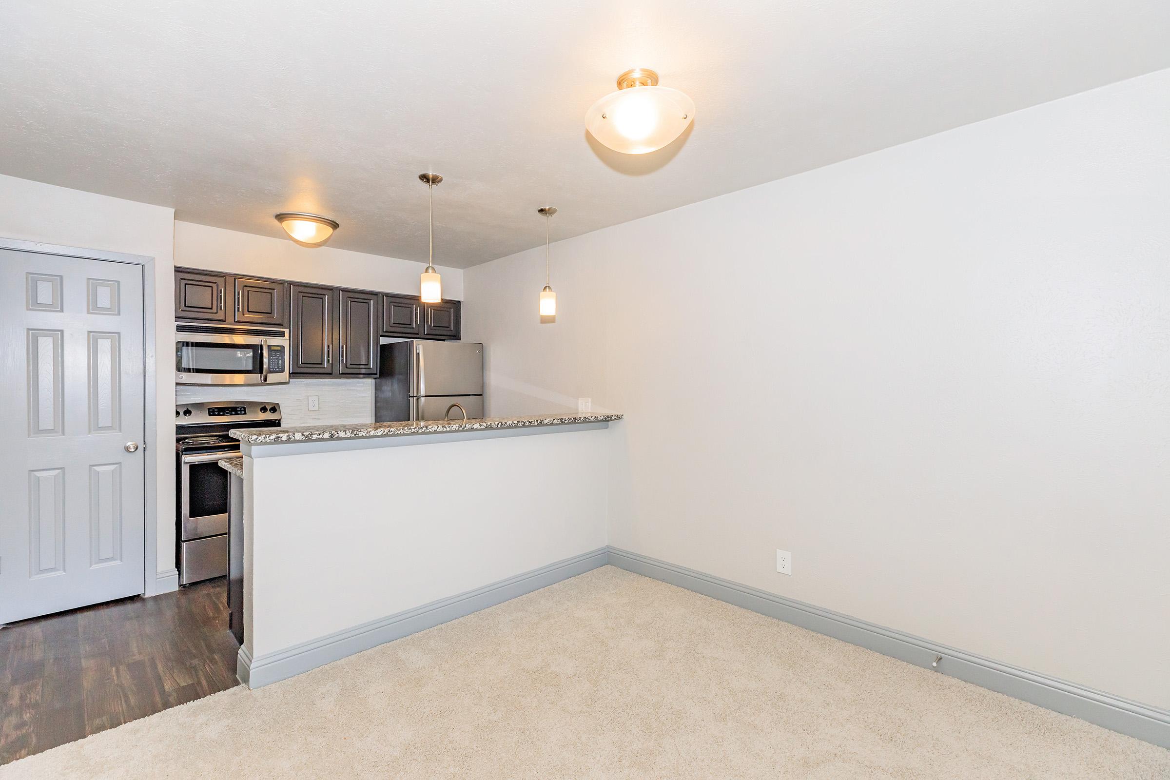 A well-lit kitchen area with dark cabinetry and stainless steel appliances, featuring a breakfast bar that overlooks a spacious living area with beige carpet. The walls are painted white, and there are two ceiling lights providing ample illumination. A door is visible, leading to another room.