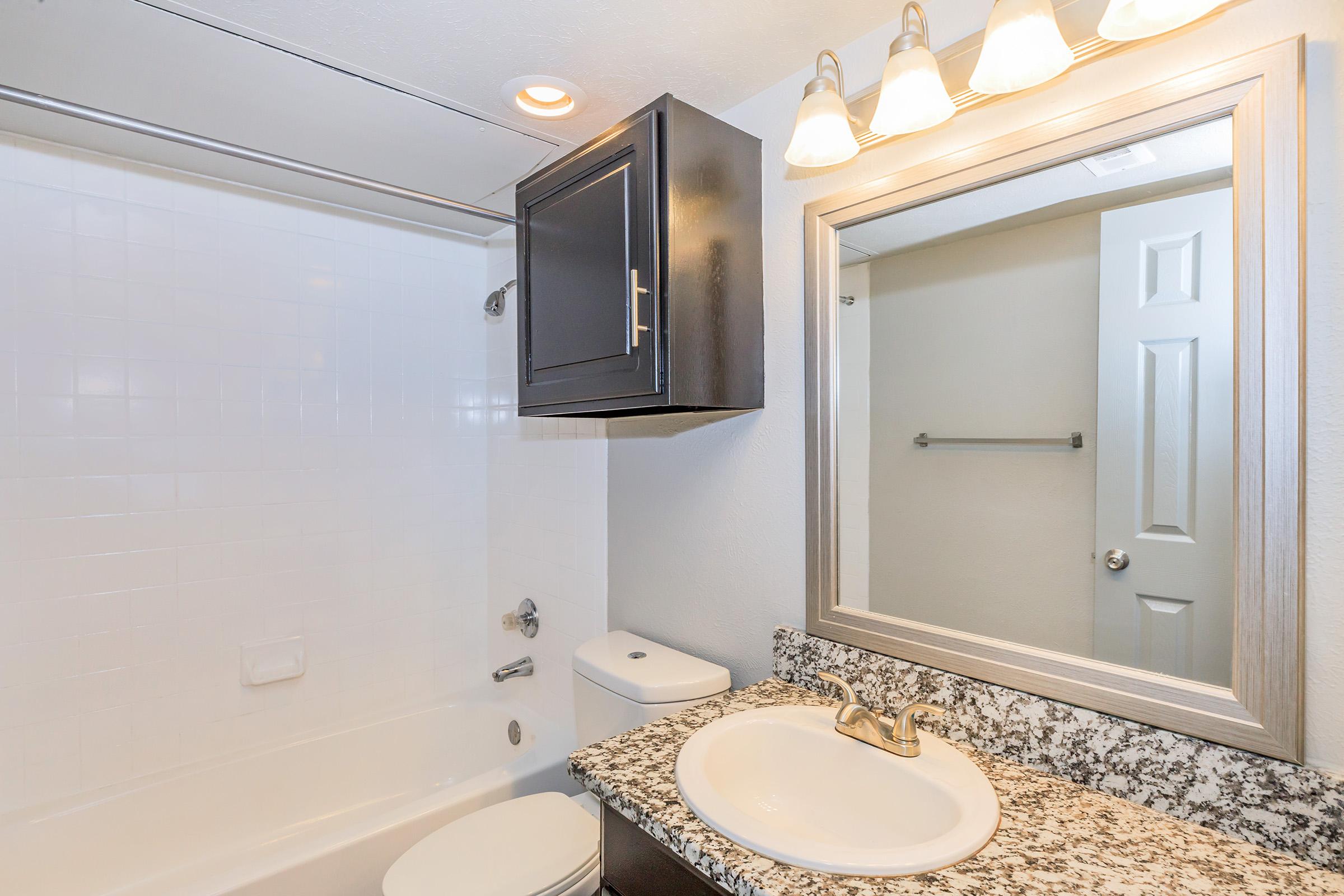 A modern bathroom featuring a white tiled shower and bathtub, dark cabinetry, a granite countertop with a sink and faucet, a large mirror above the sink, and overhead lighting. A door to another room can be seen in the background, and a towel rack is mounted on the wall.