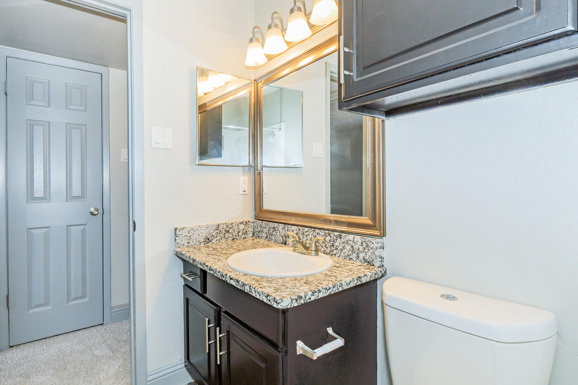 A well-lit bathroom featuring a dark wooden cabinet with a granite countertop, a sink, and a large mirror above it. A modern light fixture with three bulbs hangs above. To the right, there is a white toilet, and a closed gray door is visible in the background. The walls are painted light gray, creating a clean and modern look.