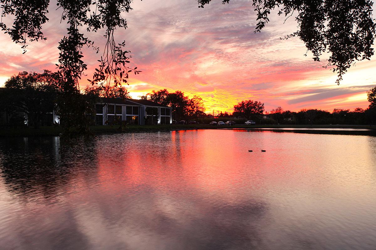 a sunset over a body of water