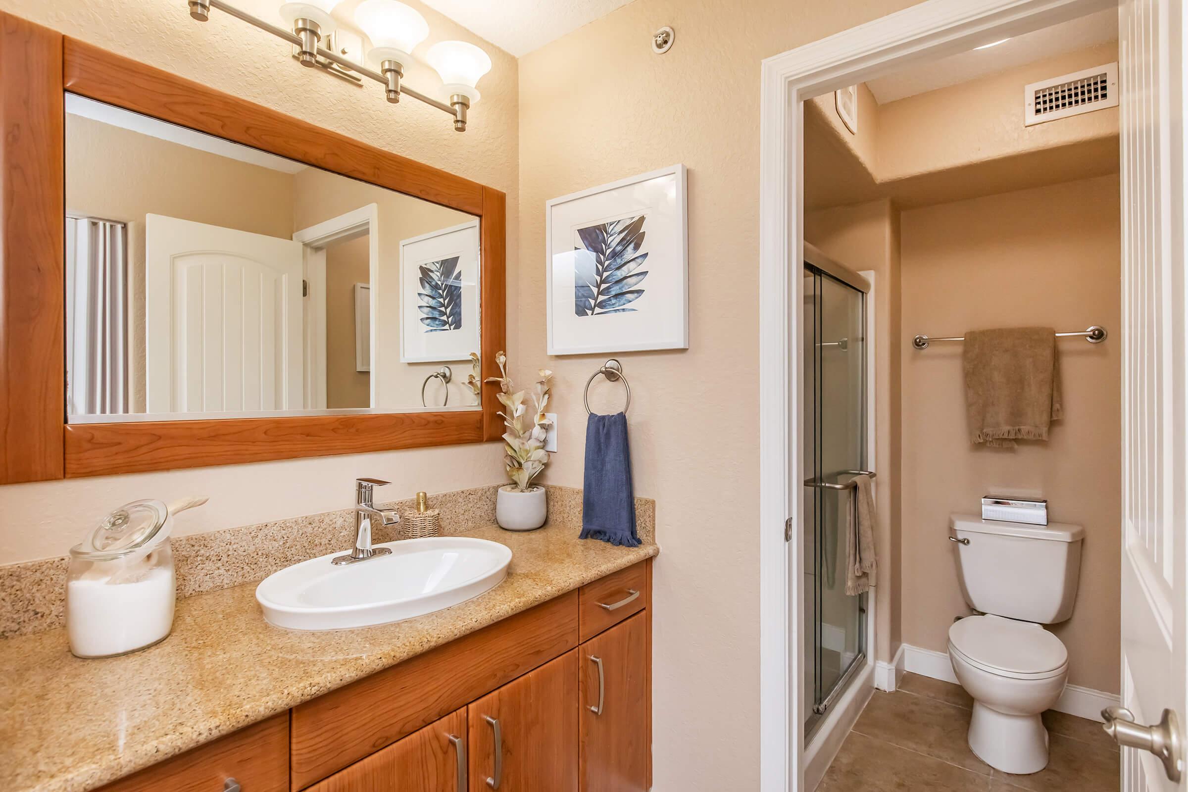 A modern bathroom featuring a granite countertop with a sink, a large mirror, wooden cabinetry, and a towel rack. The decor includes a framed artwork on the wall and a shower enclosure. A toilet is positioned near the door, contributing to a clean and stylish appearance.