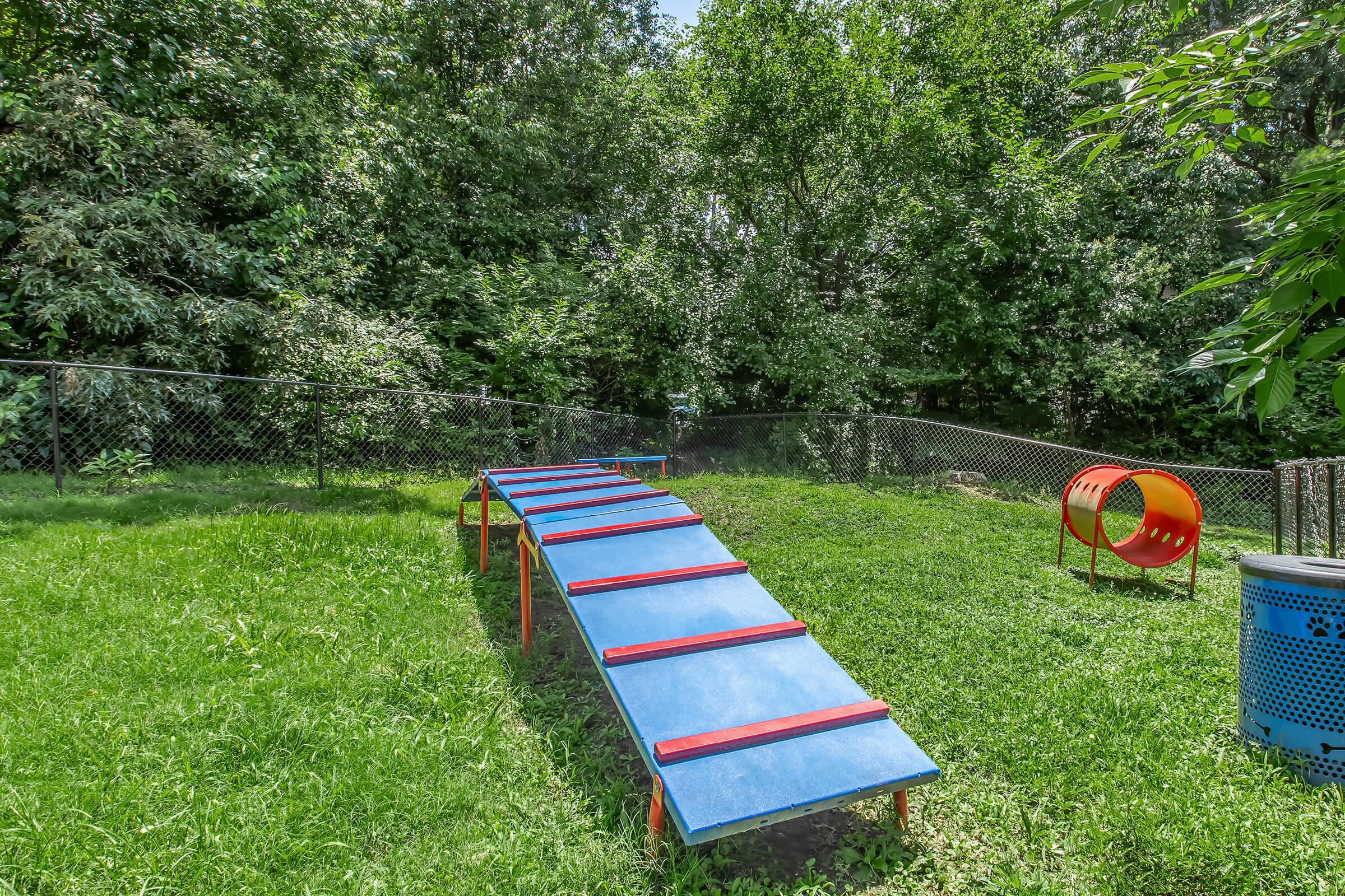 A colorful agility ramp with red and blue segments sits on lush green grass, surrounded by trees. Nearby, there is a circular tunnel for pets. A fence lines the background, providing an enclosed space for play and training.