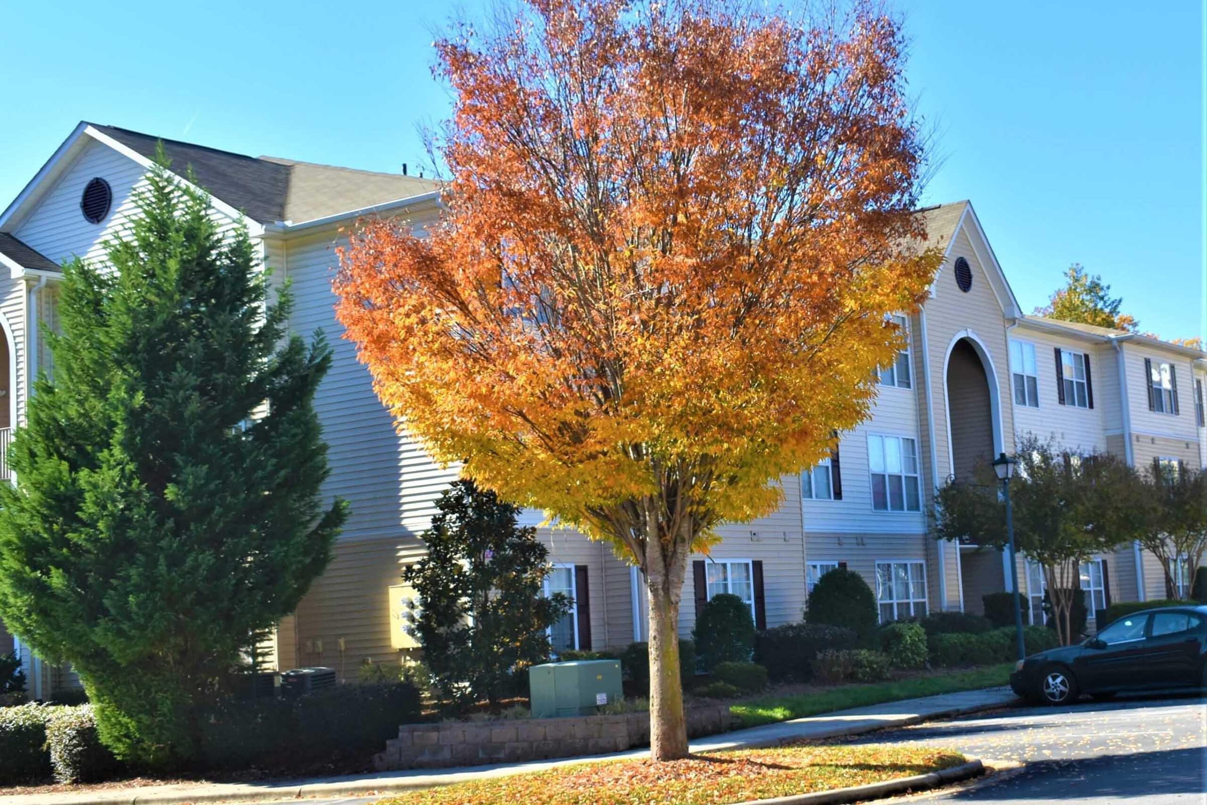 A residential building with several windows and a mix of shrubs and trees is depicted. A vibrant autumn tree with orange and yellow leaves stands prominently in front of the building, contrasting against the clear blue sky. The scene reflects a calm suburban neighborhood during the fall season.