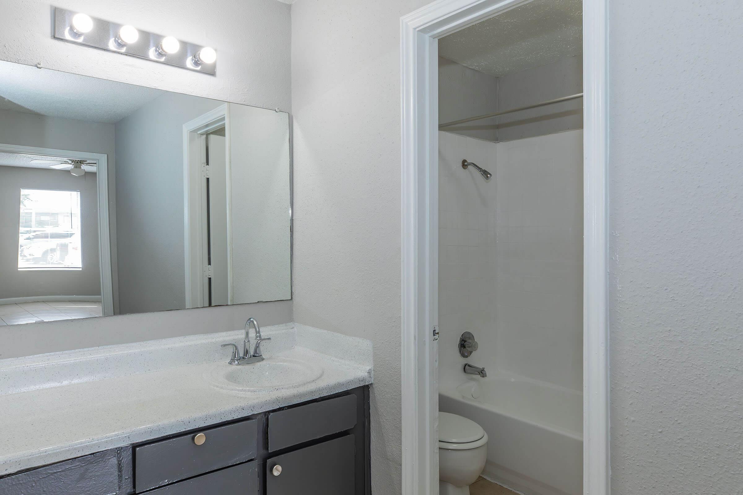 A modern bathroom featuring a light gray color scheme, a large mirror with overhead lights, a white countertop with a sink, and a separate shower area with a bathtub. The room has a window allowing natural light, and a toilet is positioned beside the shower area.