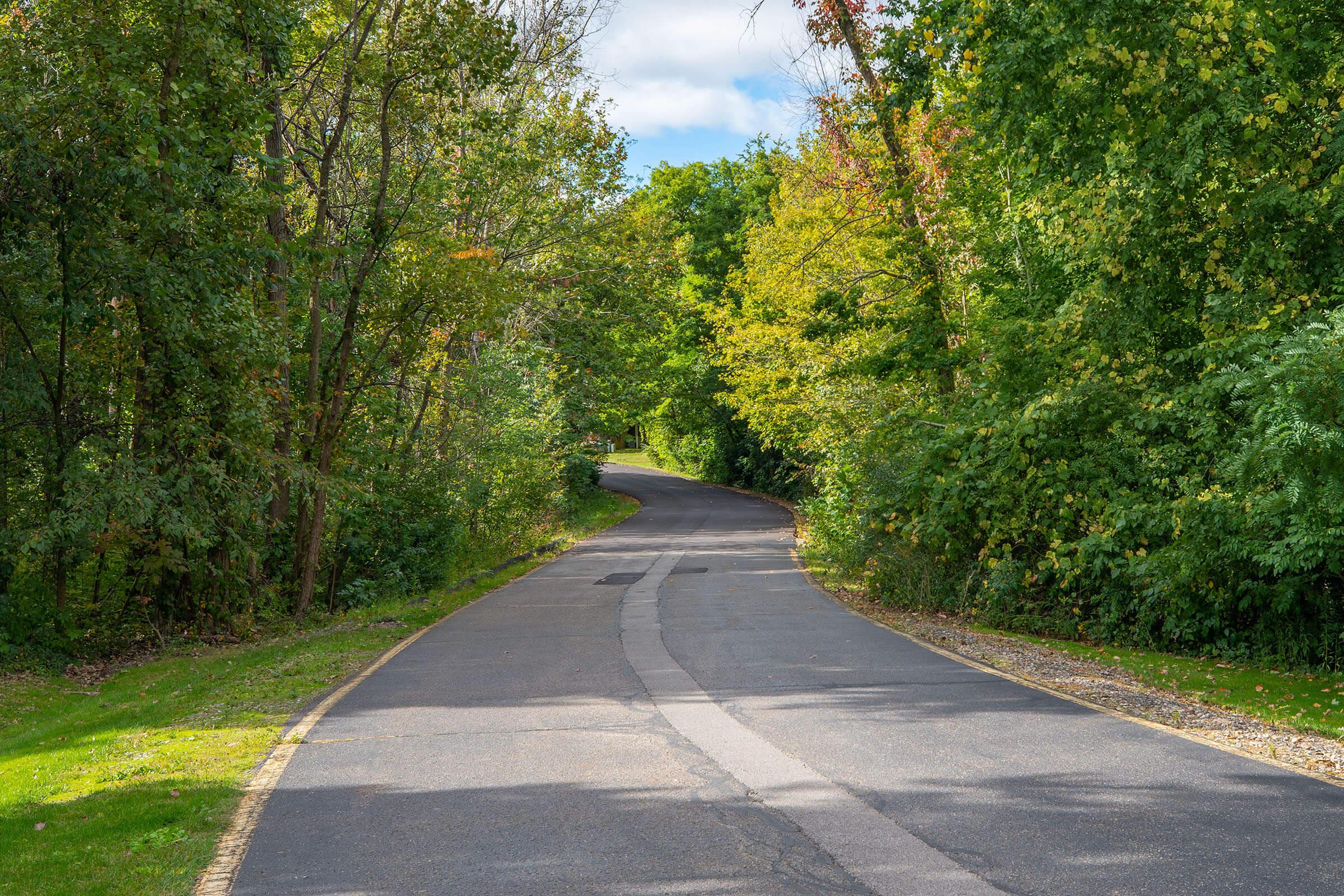 a path with trees on the side of a road