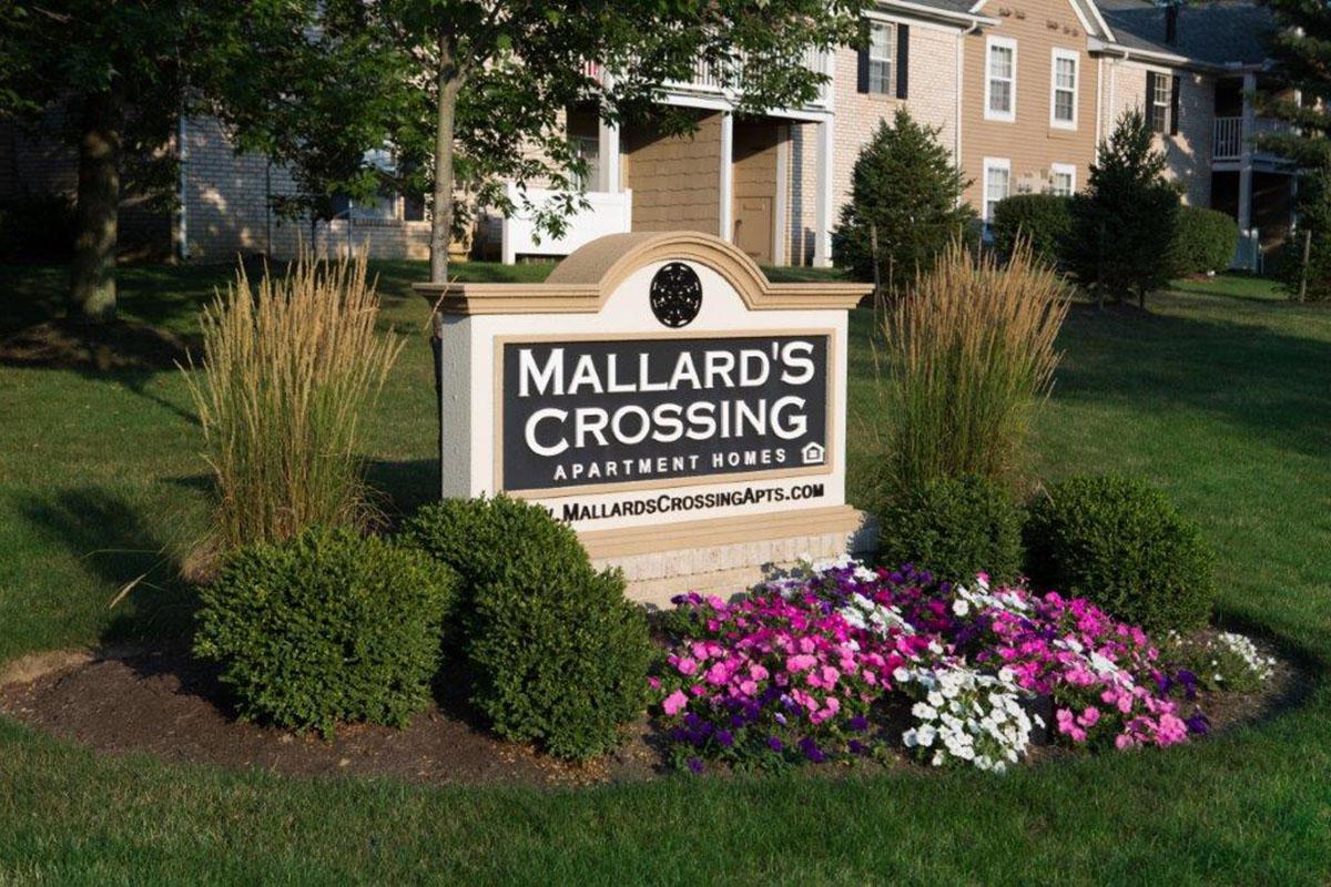 a close up of a flower garden in front of a building
