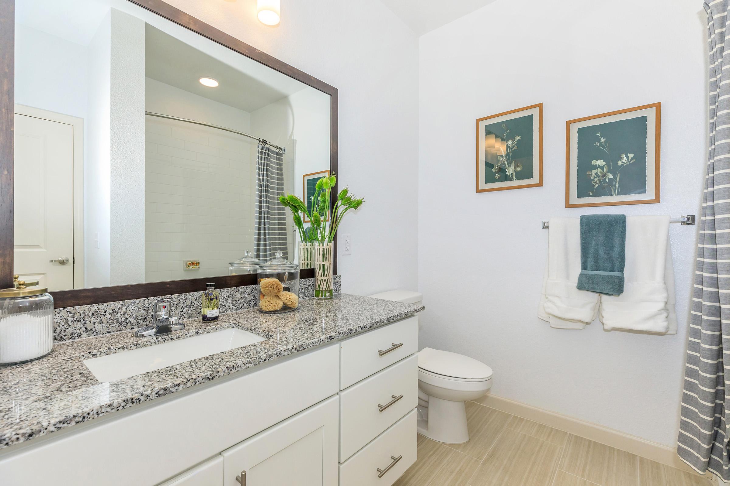 A modern bathroom featuring a large mirror above a granite countertop with a white sink, a potted plant, and decorative items. There are two framed botanical prints on the wall, fluffy white towels hanging on a rack, and a shower with a gray curtain in the background. The overall decor is clean and minimalist.