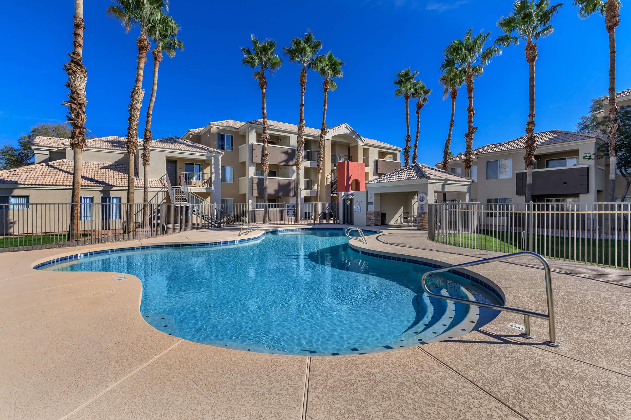 a group of palm trees next to a pool