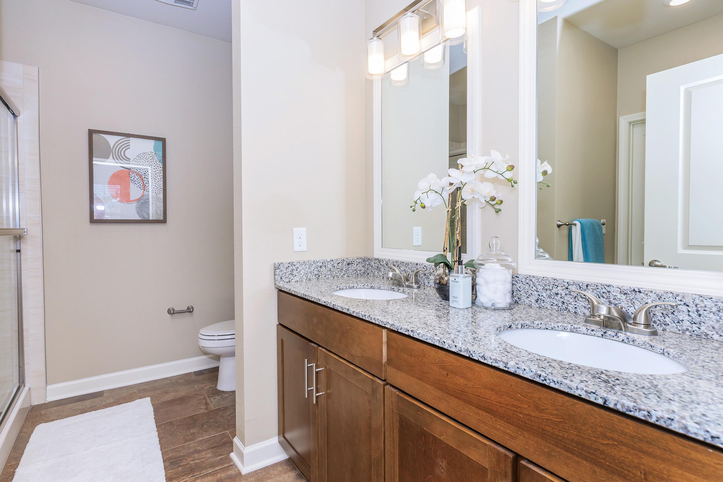 a double sink and large mirror