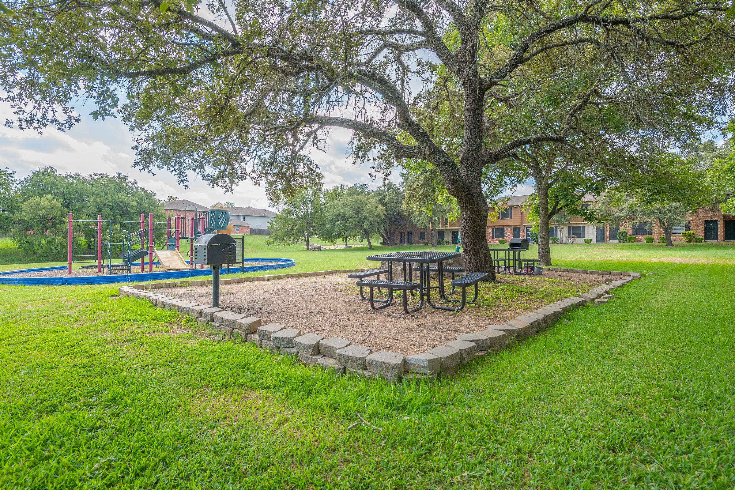 a tree in a park