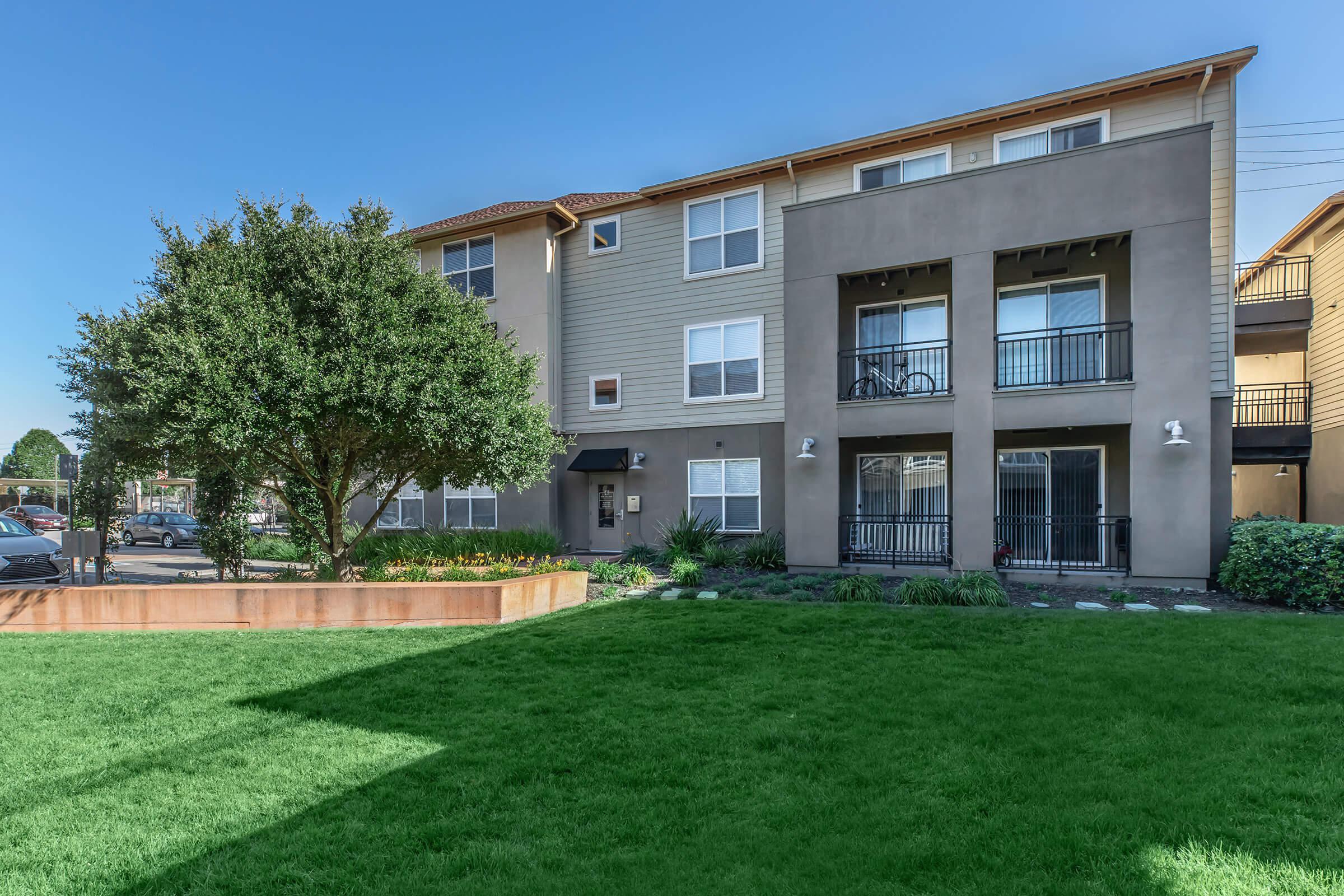 Landscaping at The Village at Town Center in El Cerrito CA