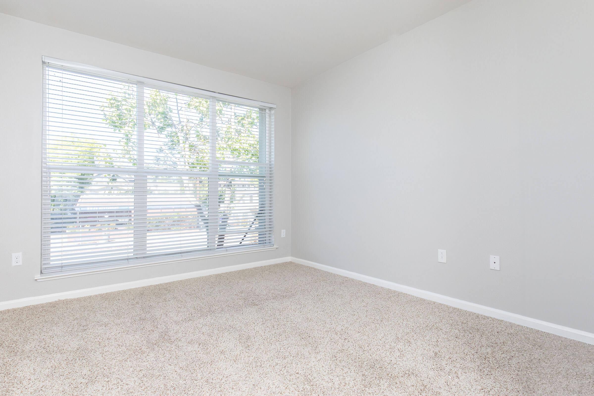 Empty room with light gray walls, carpeted floor, and a large window with blinds letting in natural light. The window overlooks greenery outside, creating a bright and airy atmosphere. The space is clean and uncluttered, suitable for various uses or furnishings, with electrical outlets visible on the walls.