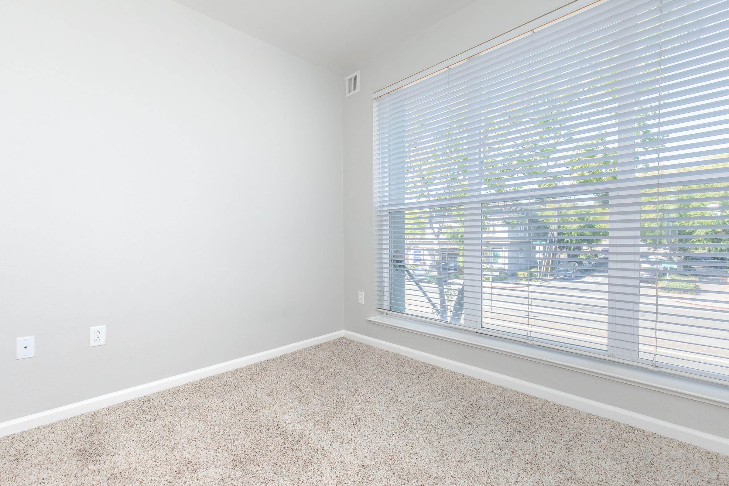 Empty room with light gray walls and beige carpeting. A large window with white blinds allows natural light to enter, providing a view of greenery outside. The walls are bare, creating a spacious and minimalist atmosphere.