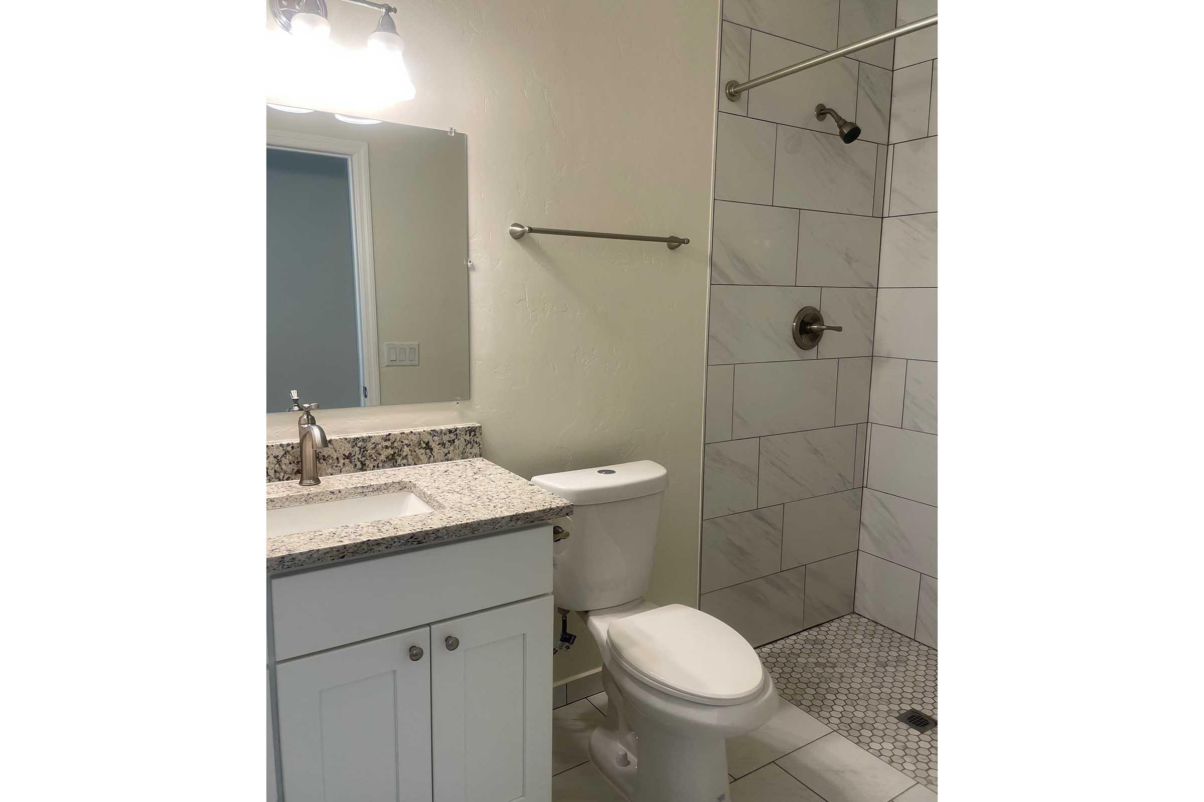 A modern bathroom featuring a granite countertop with a sink and a mirror above, a white toilet, and a walk-in shower with tiled walls and a glass partition. The space has neutral colors and ample lighting from wall-mounted lights.