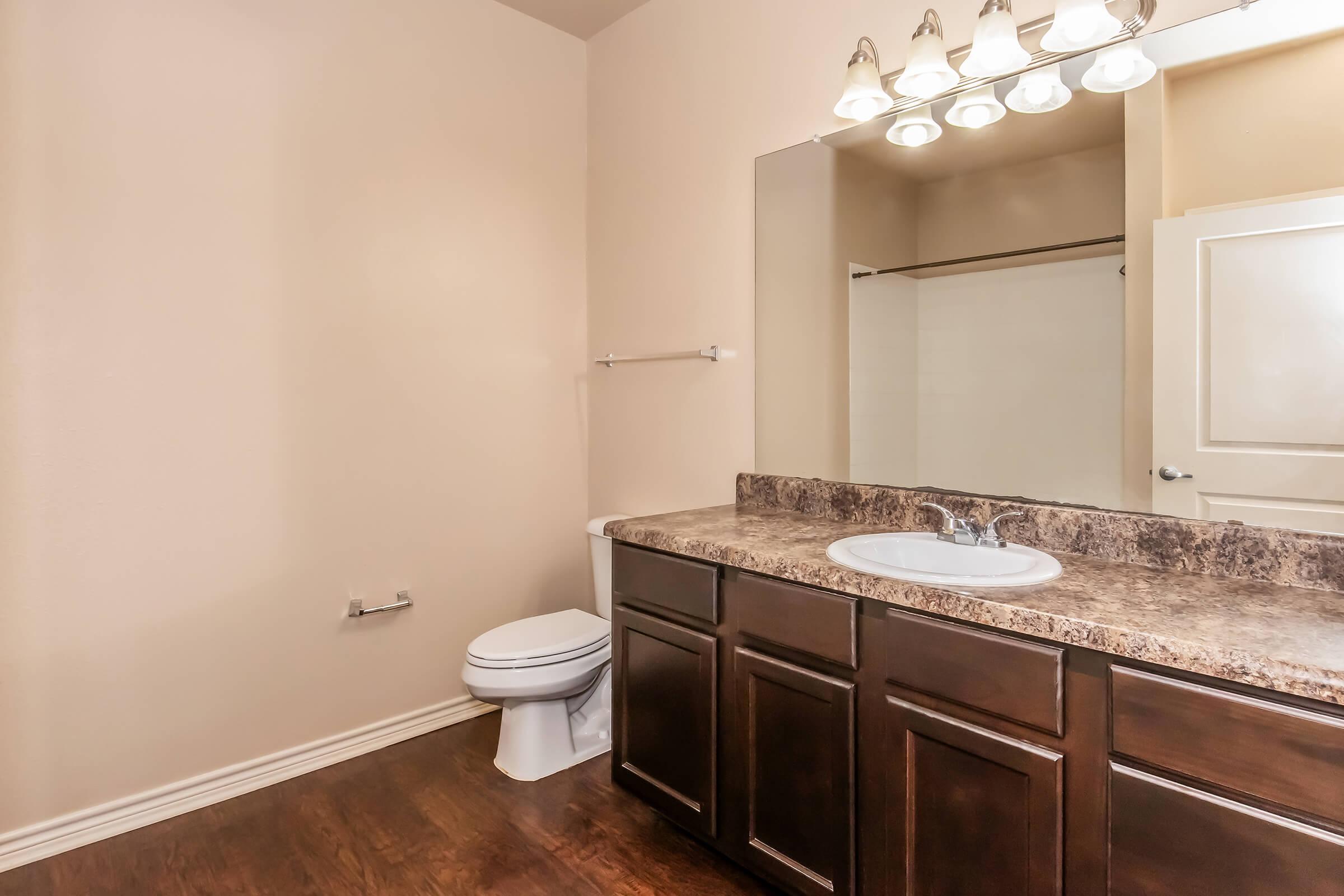 A clean, modern bathroom featuring dark wood cabinetry, a countertop with a sink, a large mirror above the sink, and a white toilet. The walls are painted a light color, and there is a shower area visible in the background. Bright lighting fixtures illuminate the space.