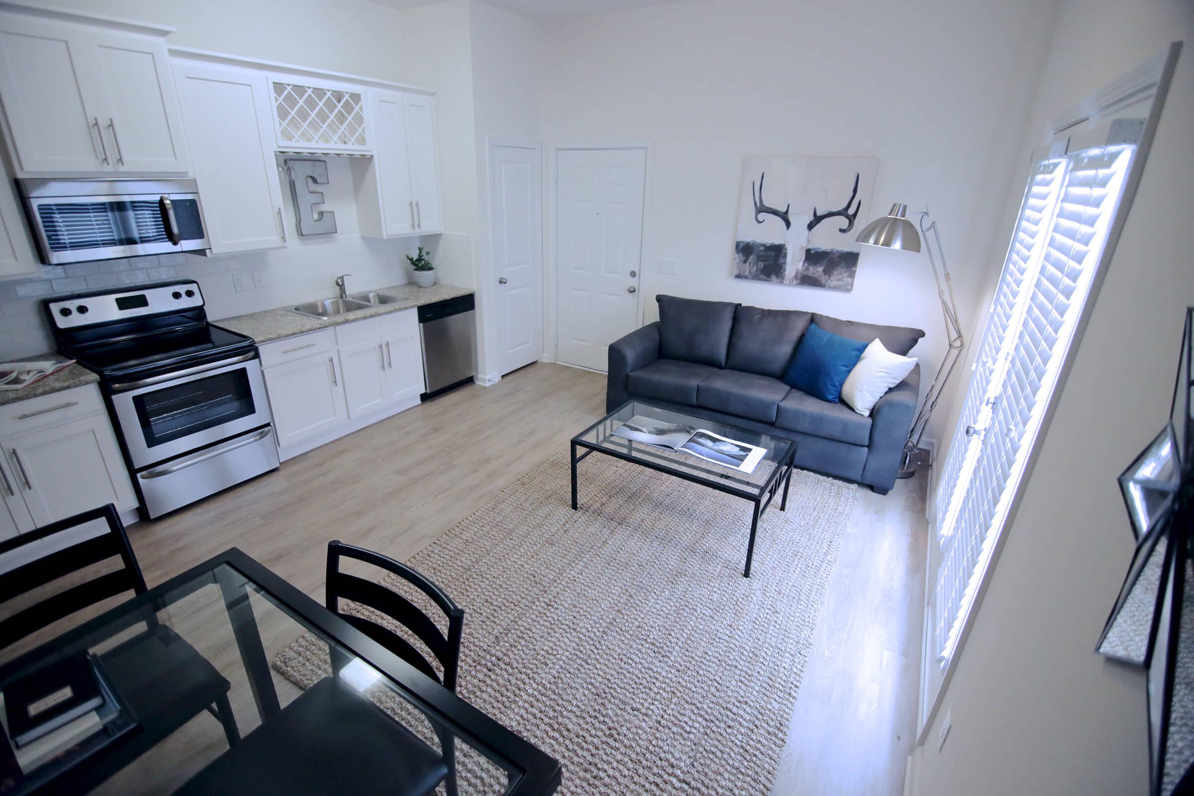 Elev 1br living and entrance.jpeg