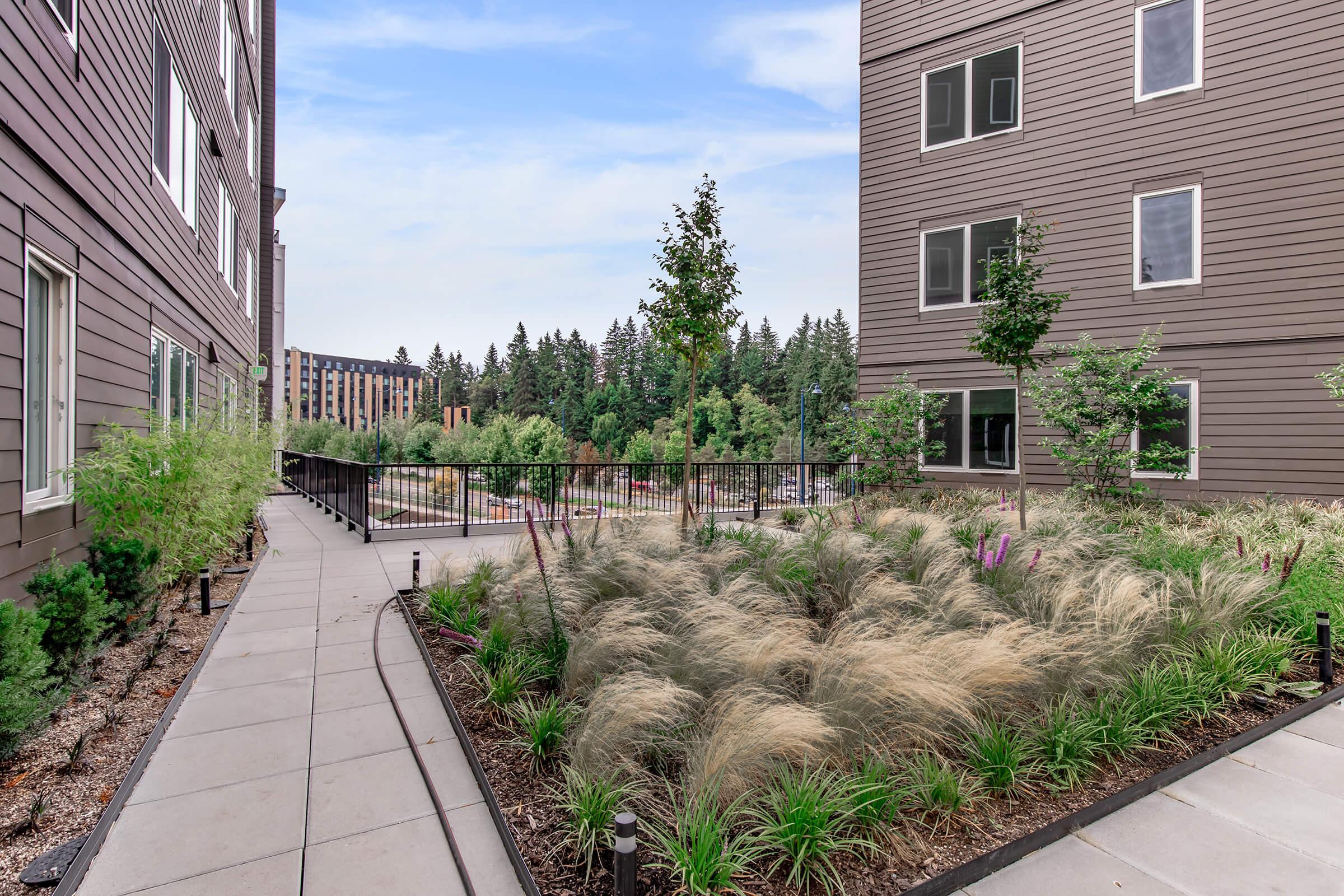 a path with buildings on the side of a building