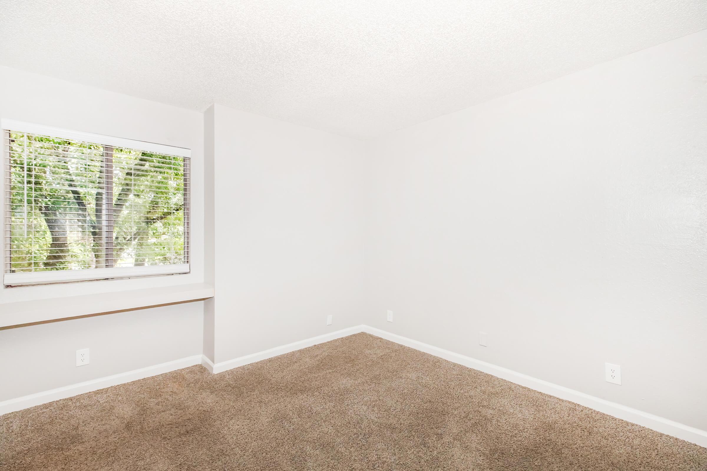 Empty room with light beige carpet and pale gray walls. A window on the left offers a view of greenery outside, with blinds partially open. The space is well-lit, creating a bright and airy atmosphere. The room features a simple design with minimal decor.