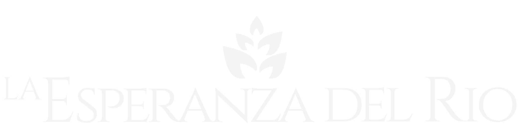 La Esperanza del Rio ebrochure logo